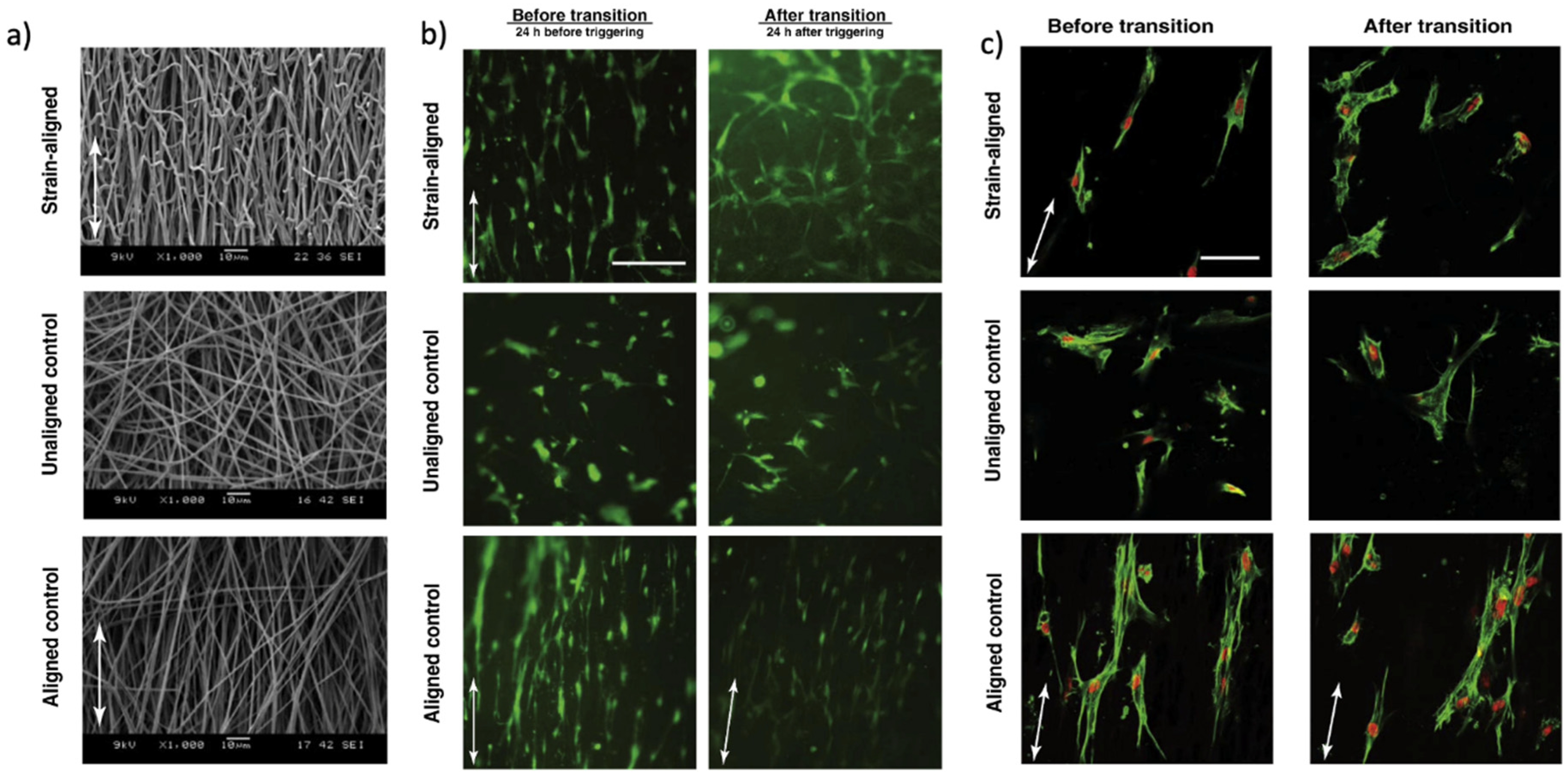 Nanomaterials 11 00933 g008