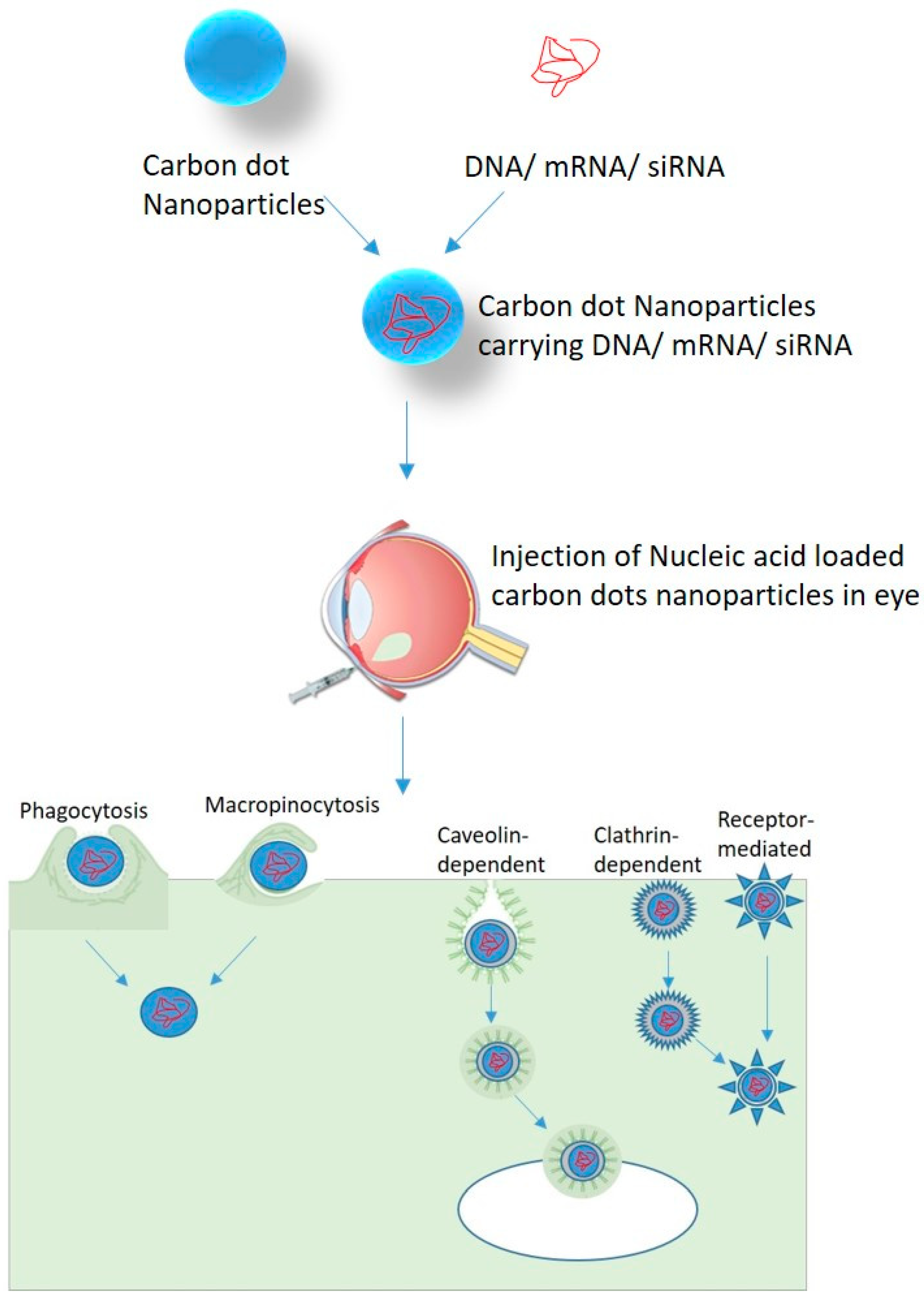 Nanomaterials 11 00935 g002