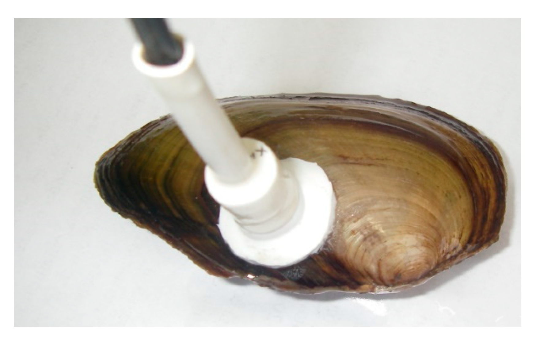 Nanomaterials 11 00944 g001