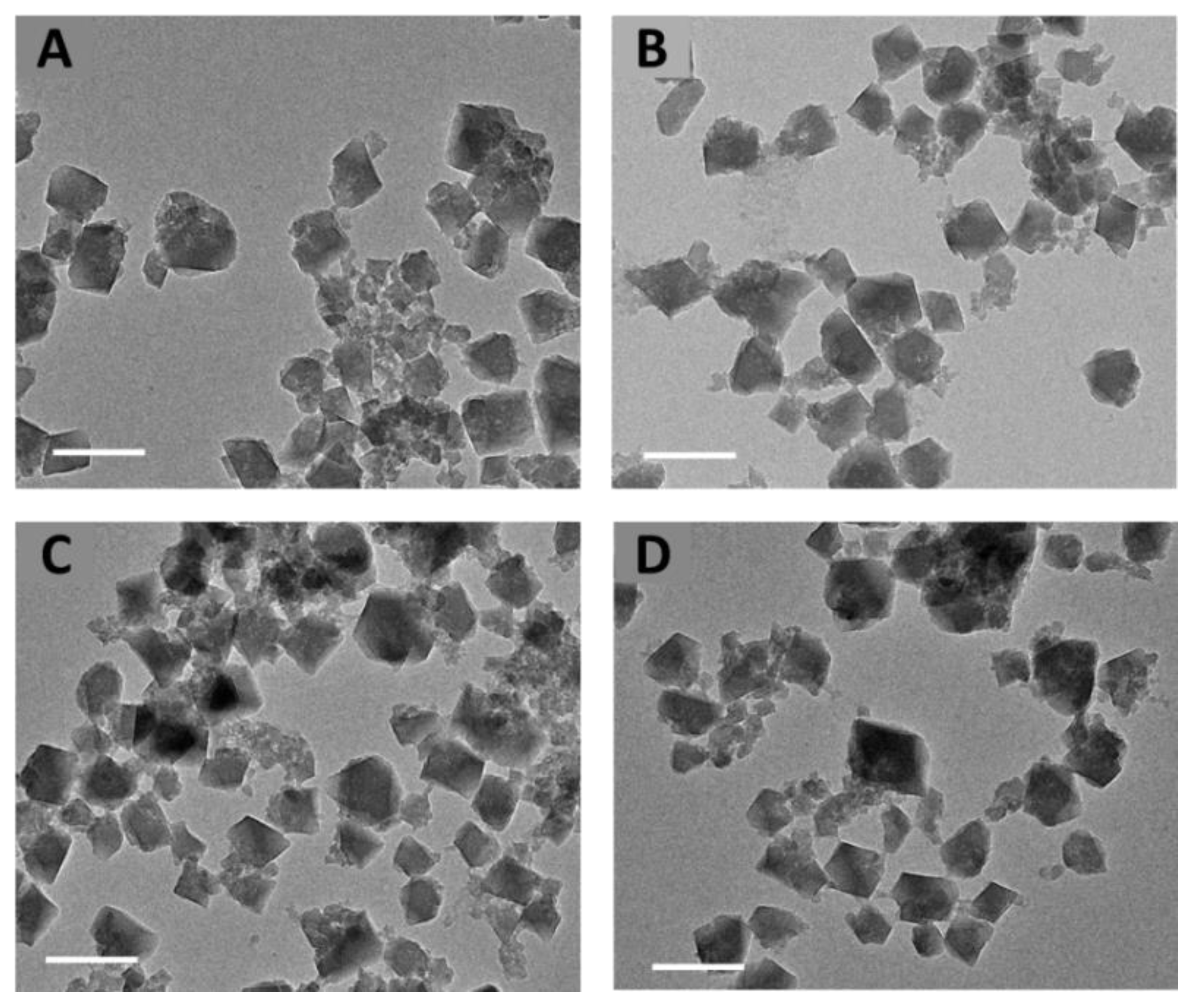 Nanomaterials 11 00945 g001