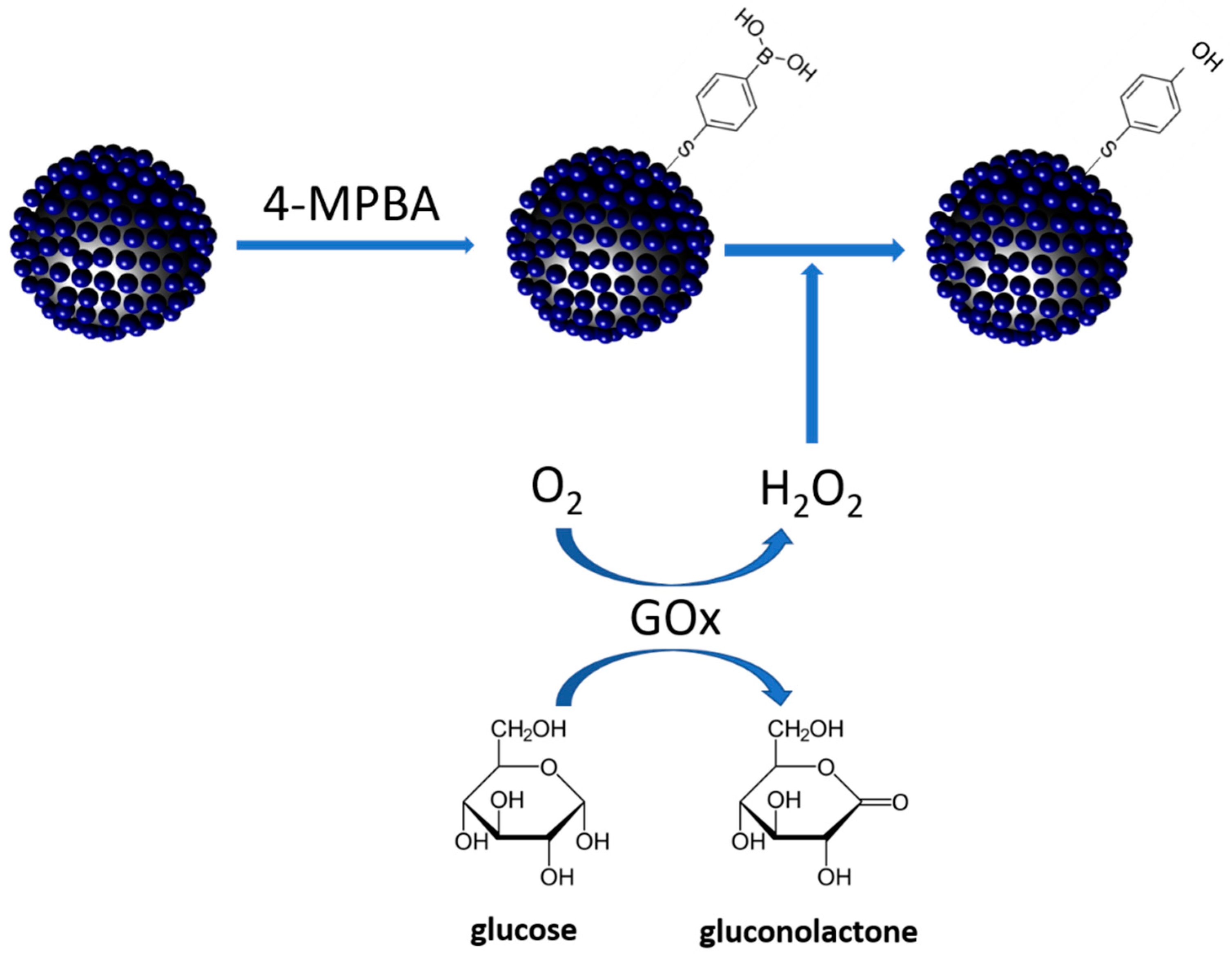 Nanomaterials 11 00948 g001