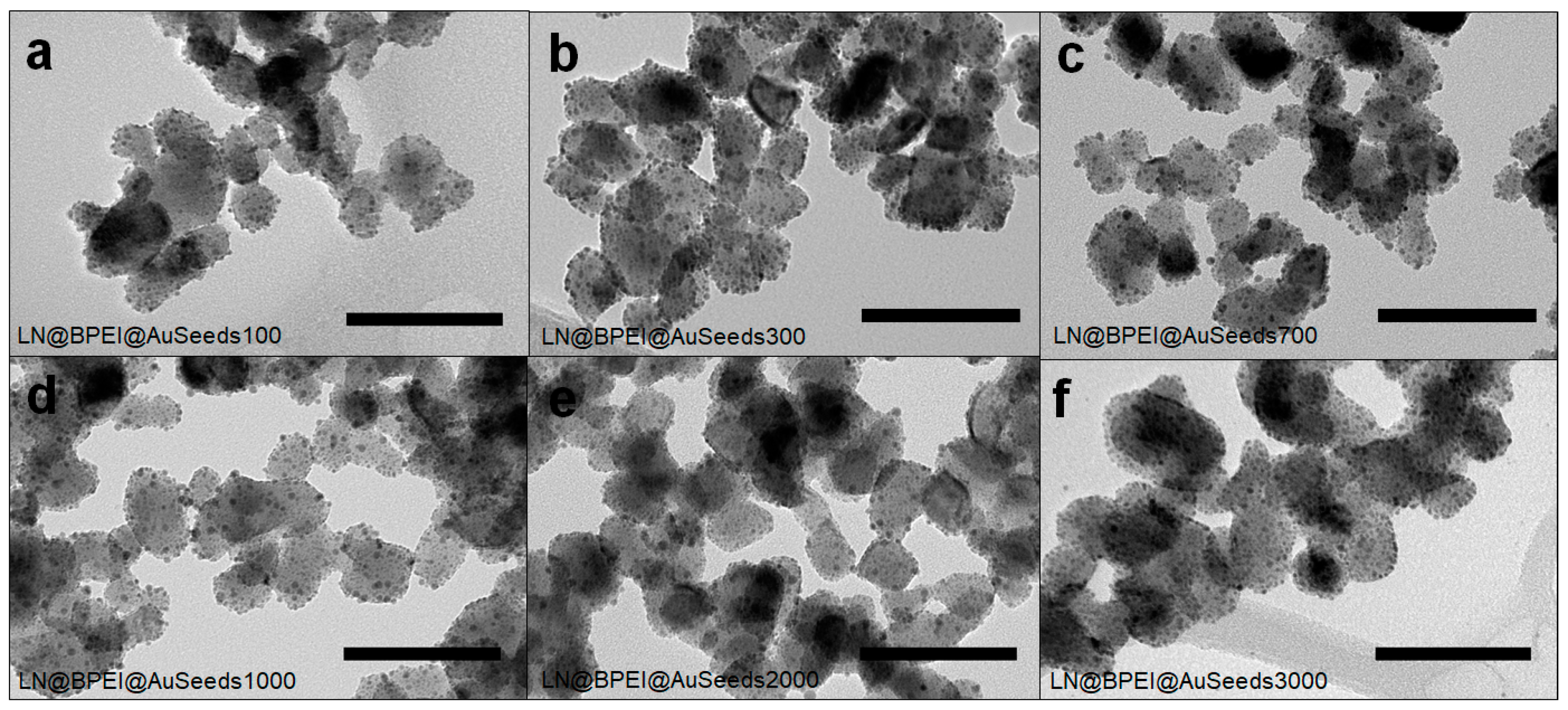 Nanomaterials 11 00950 g002