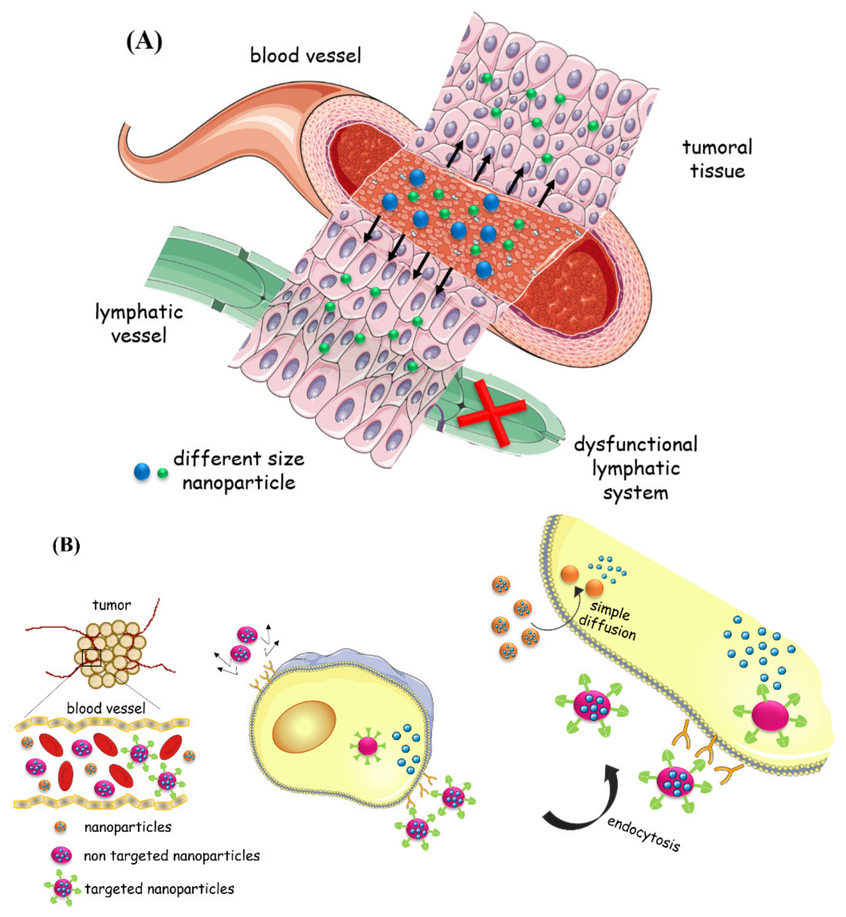 Nanomaterials 11 00964 g001 Nanomaterials 11 00964 g001
