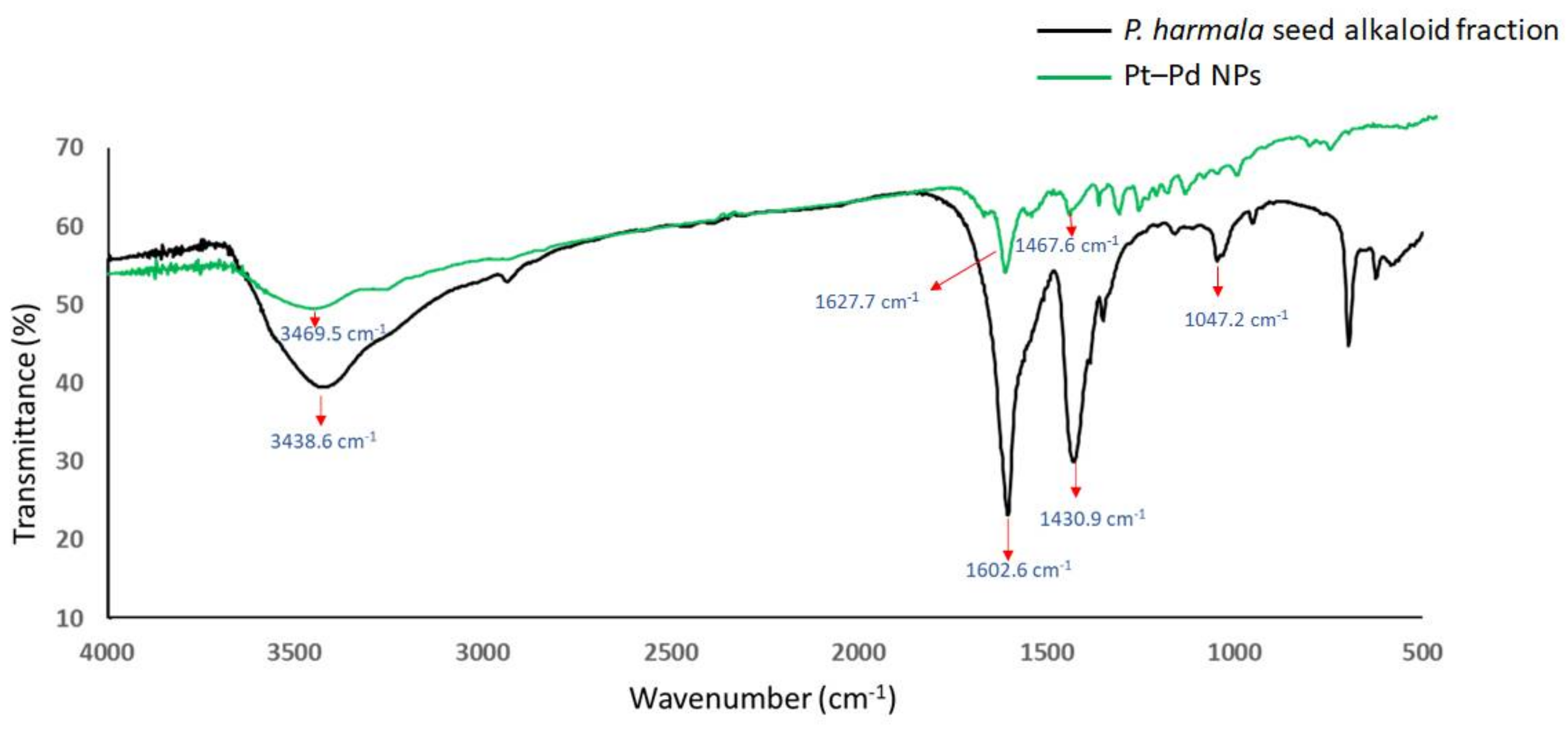 Nanomaterials 11 00965 g004