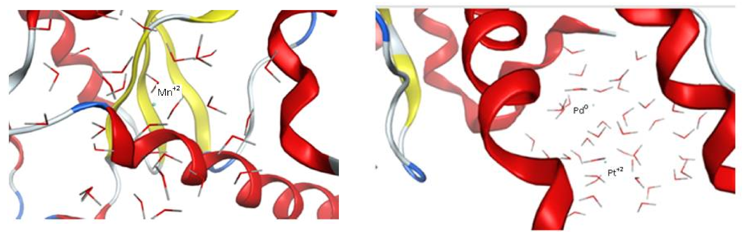 Nanomaterials 11 00965 g008