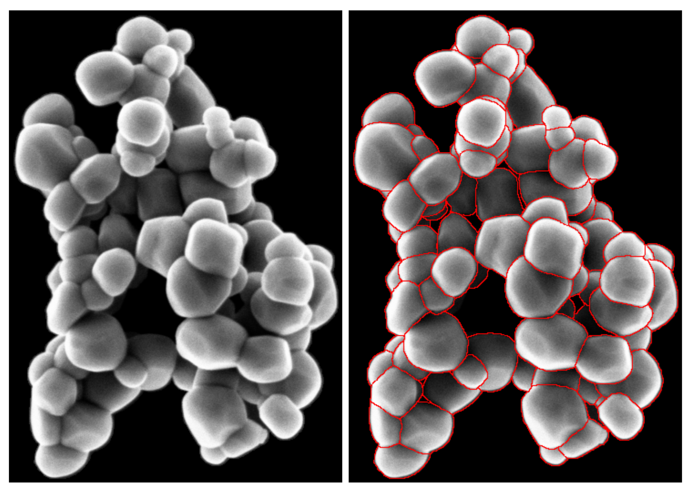 Nanomaterials 11 00968 g003