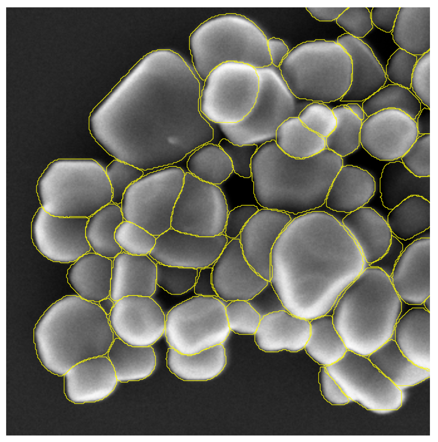 Nanomaterials 11 00968 g011