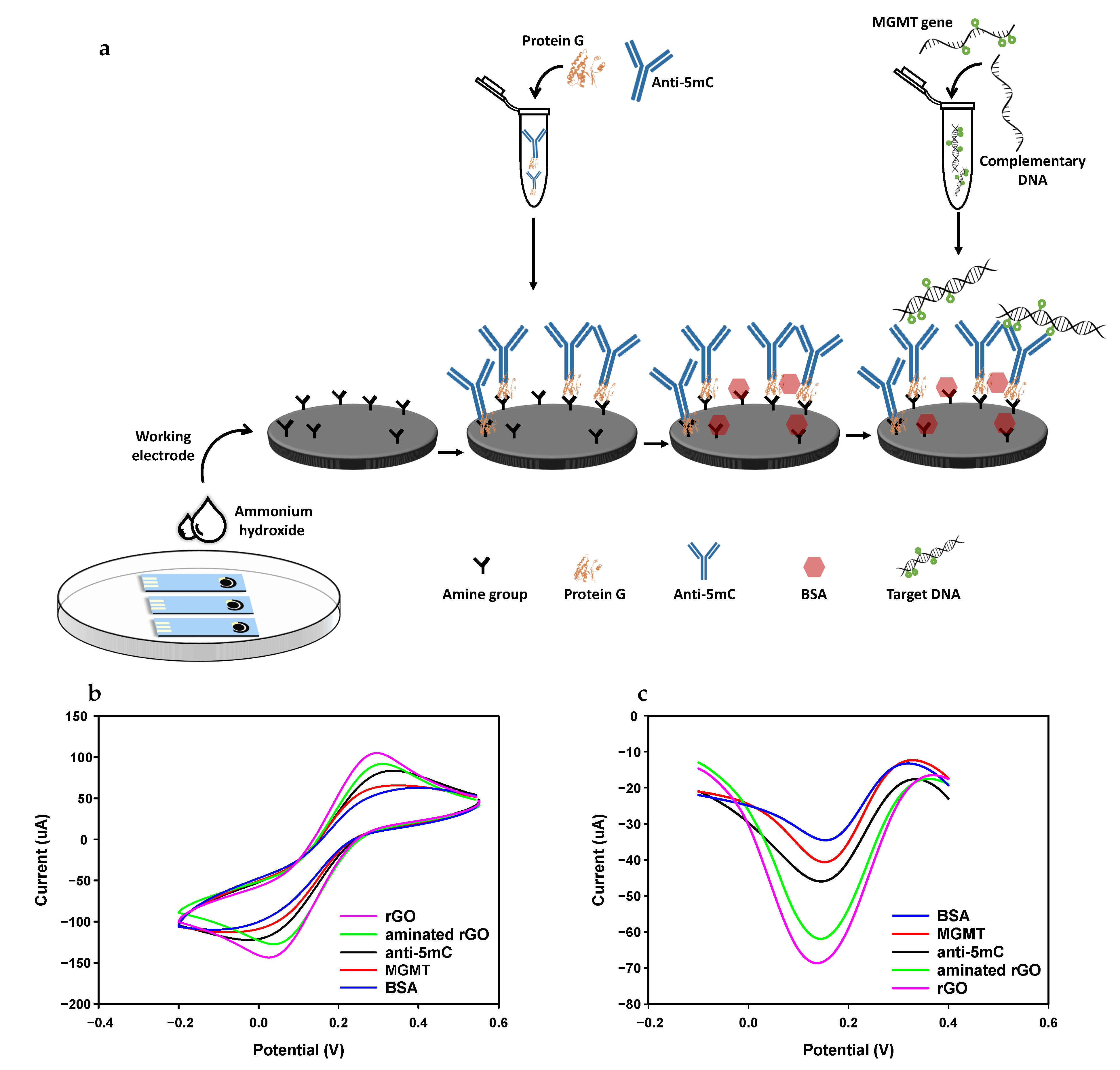 Nanomaterials 11 00985 g004