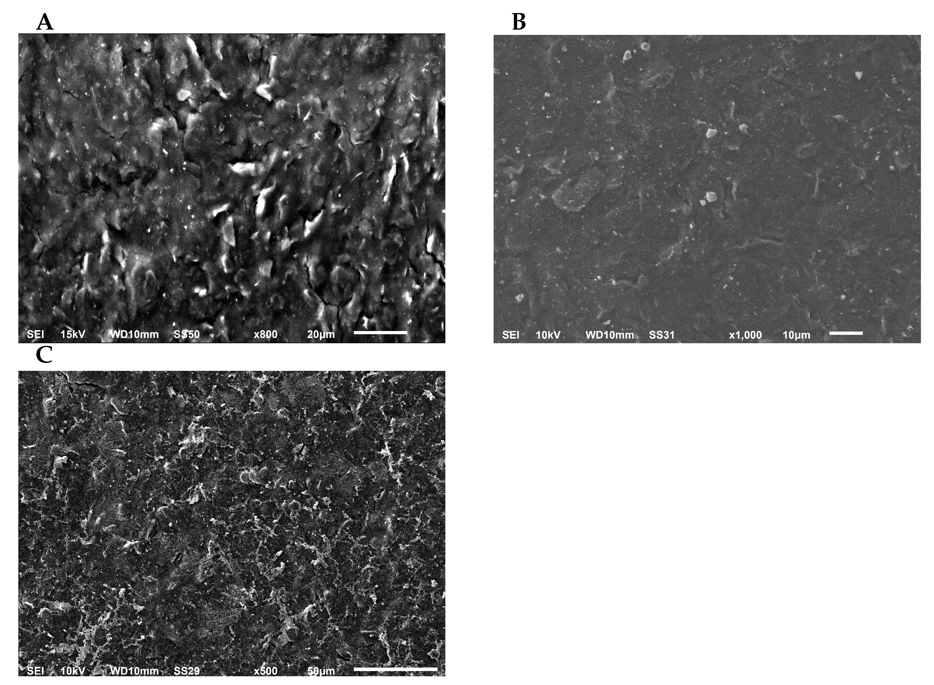 Nanomaterials 11 00985 g0a1
