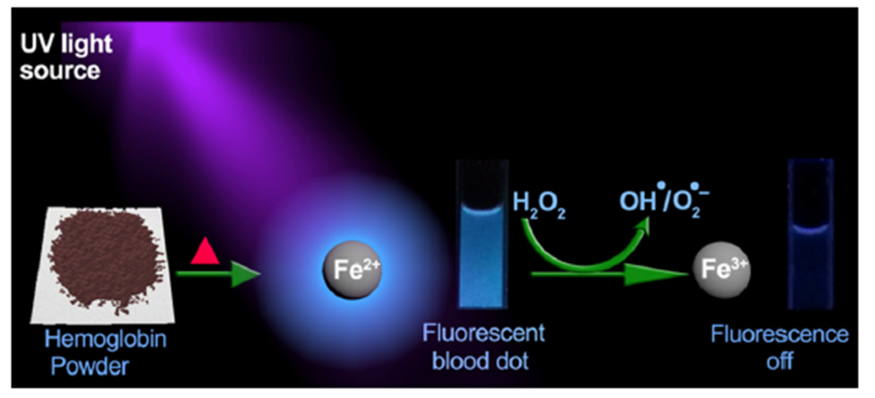 Nanomaterials 11 00997 g010