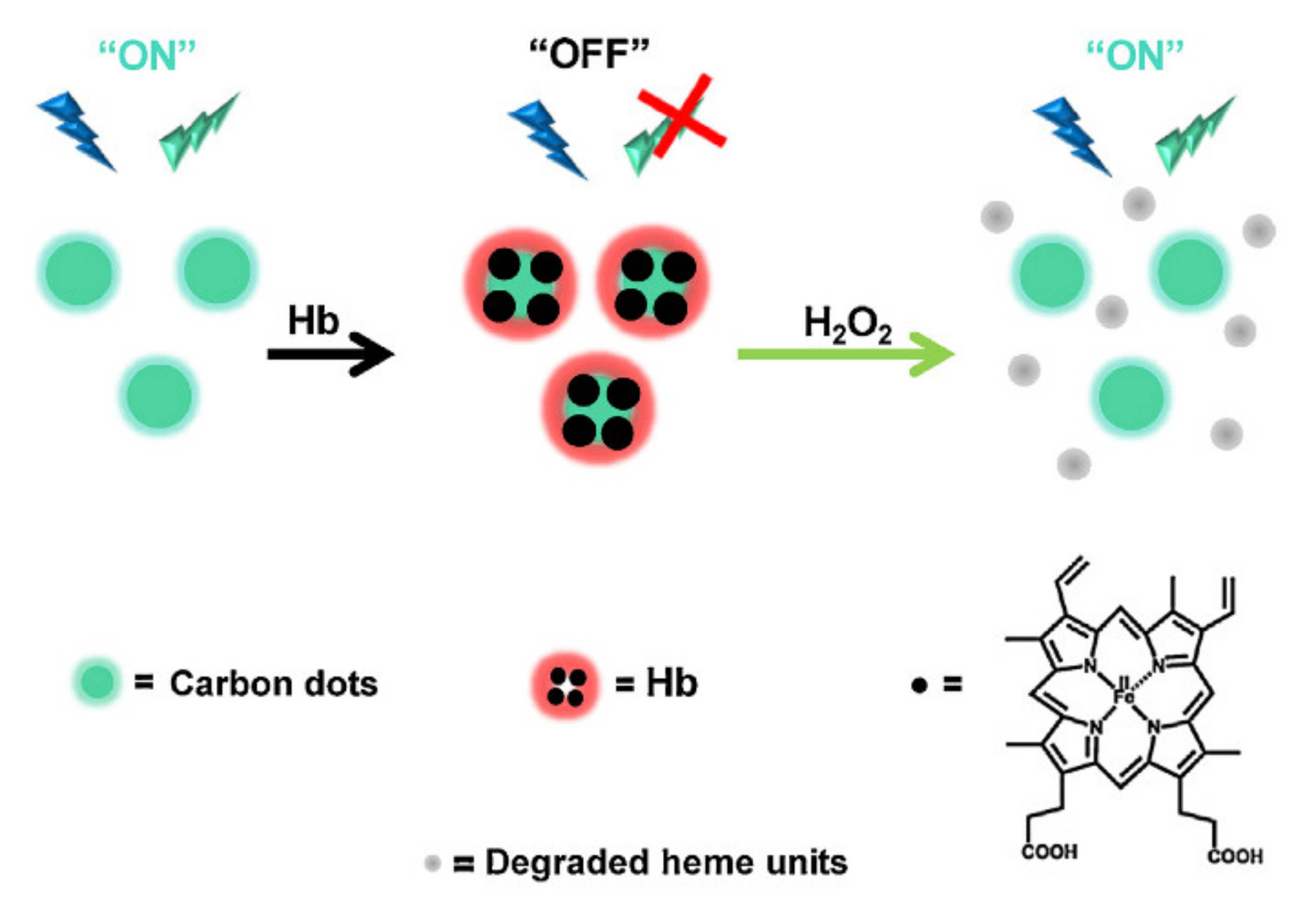 Nanomaterials 11 00997 g011