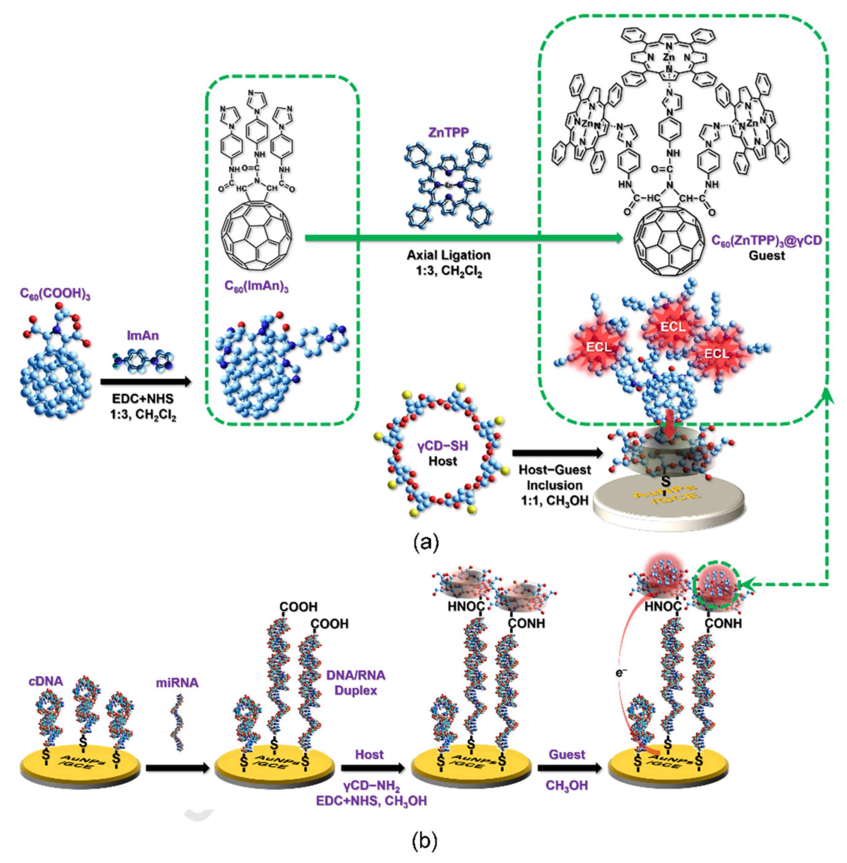 Nanomaterials 11 00997 g012