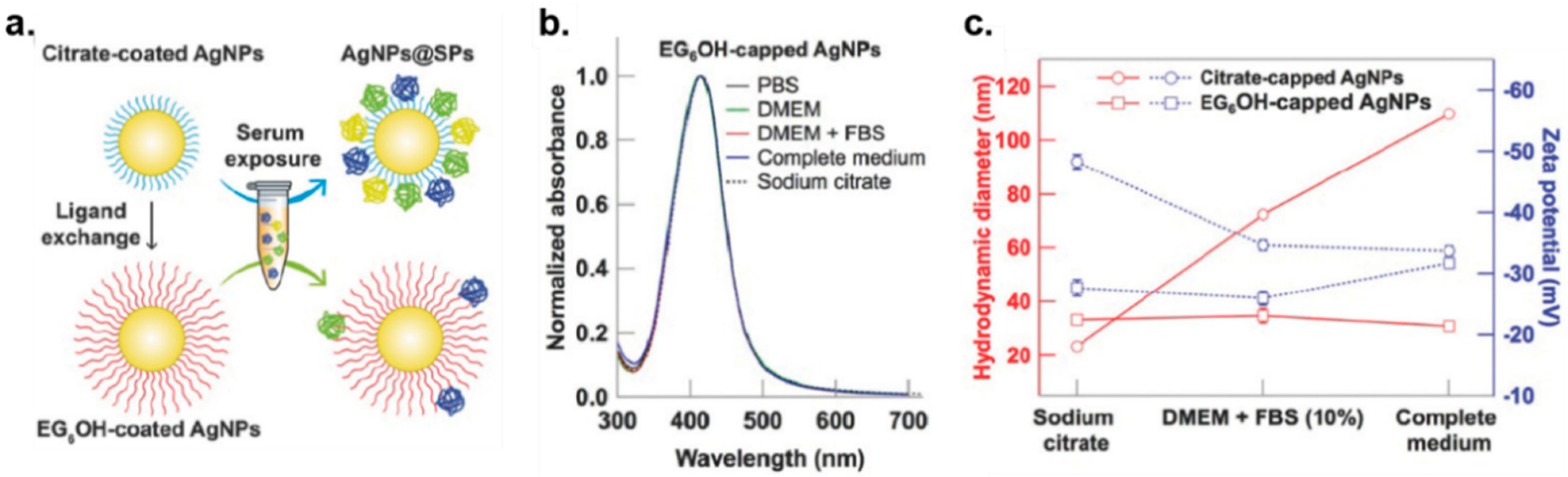 Nanomaterials 11 01001 g002