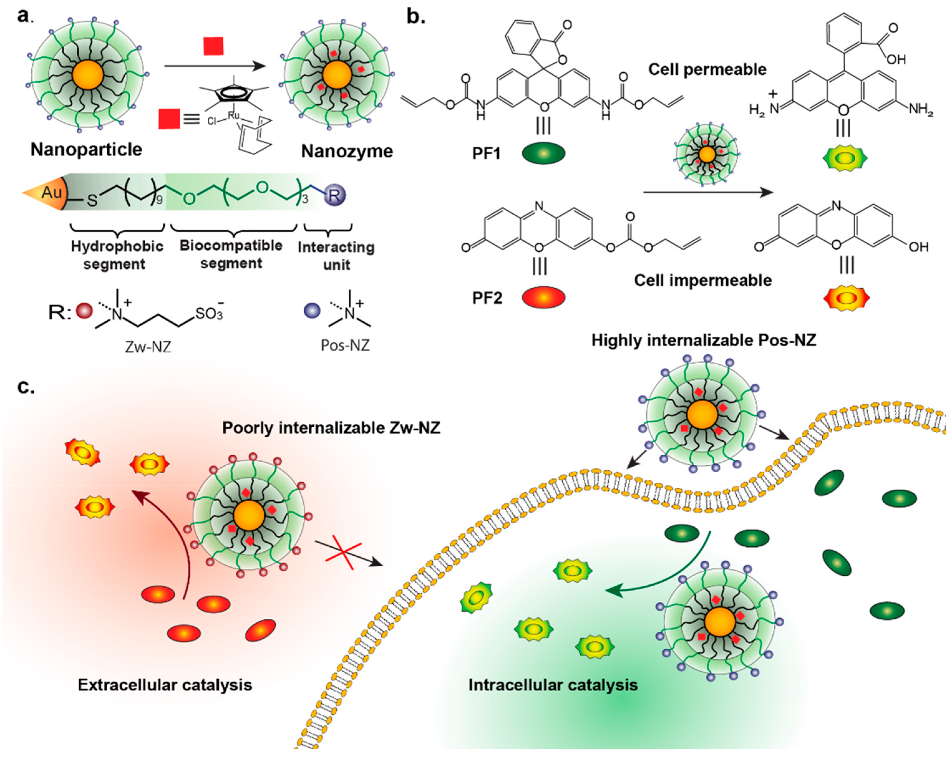 Nanomaterials 11 01001 g005