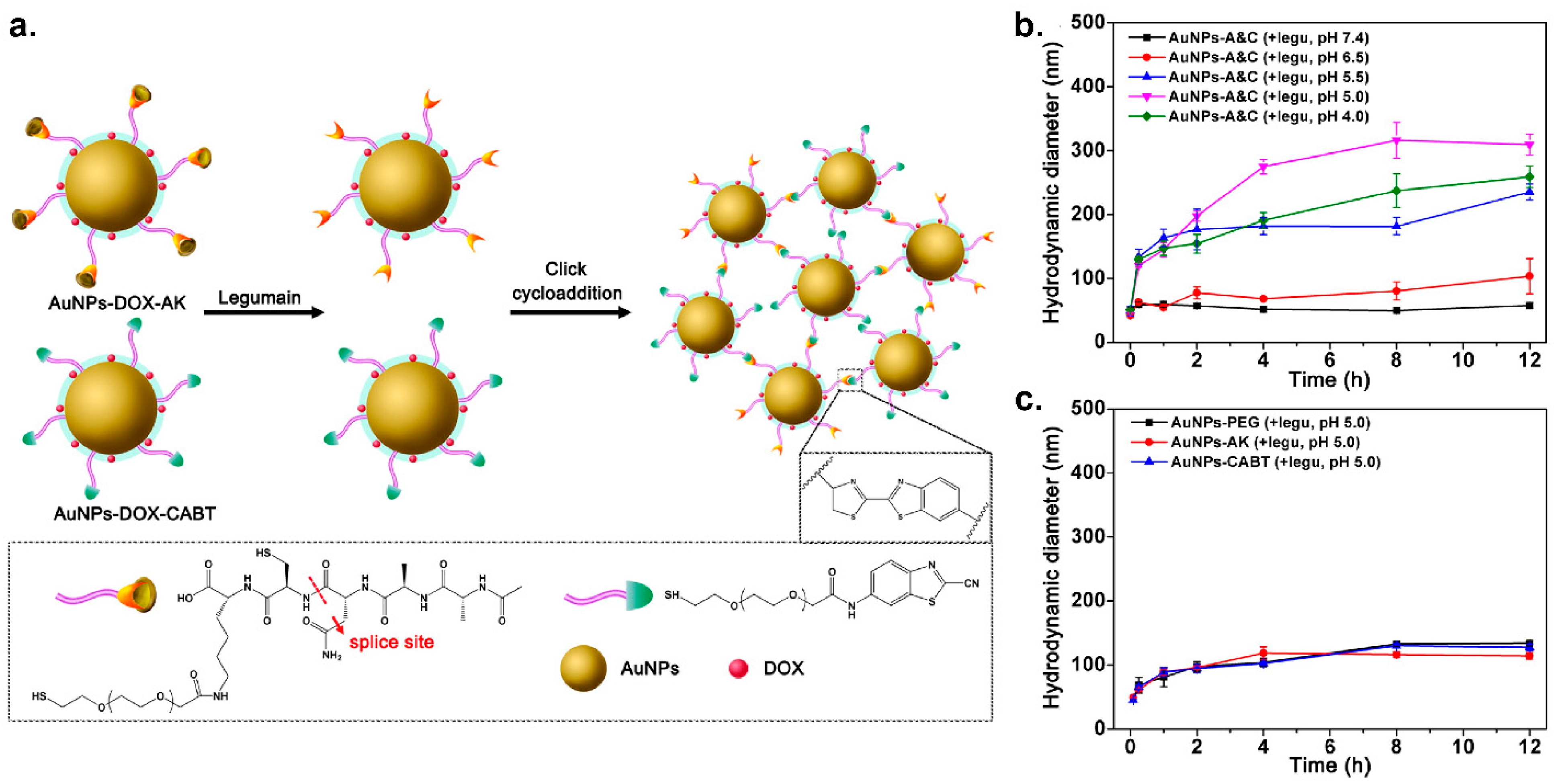 Nanomaterials 11 01001 g007