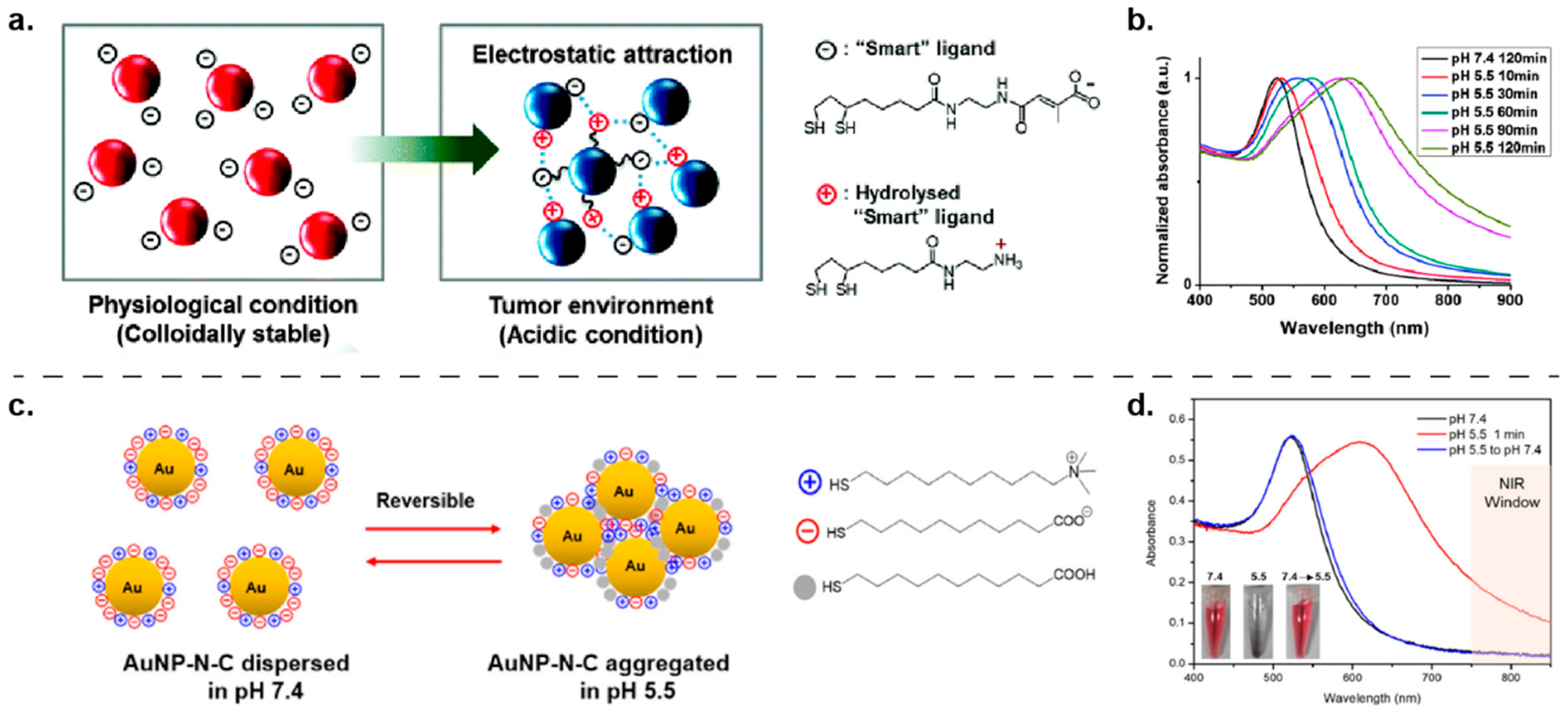 Nanomaterials 11 01001 g008