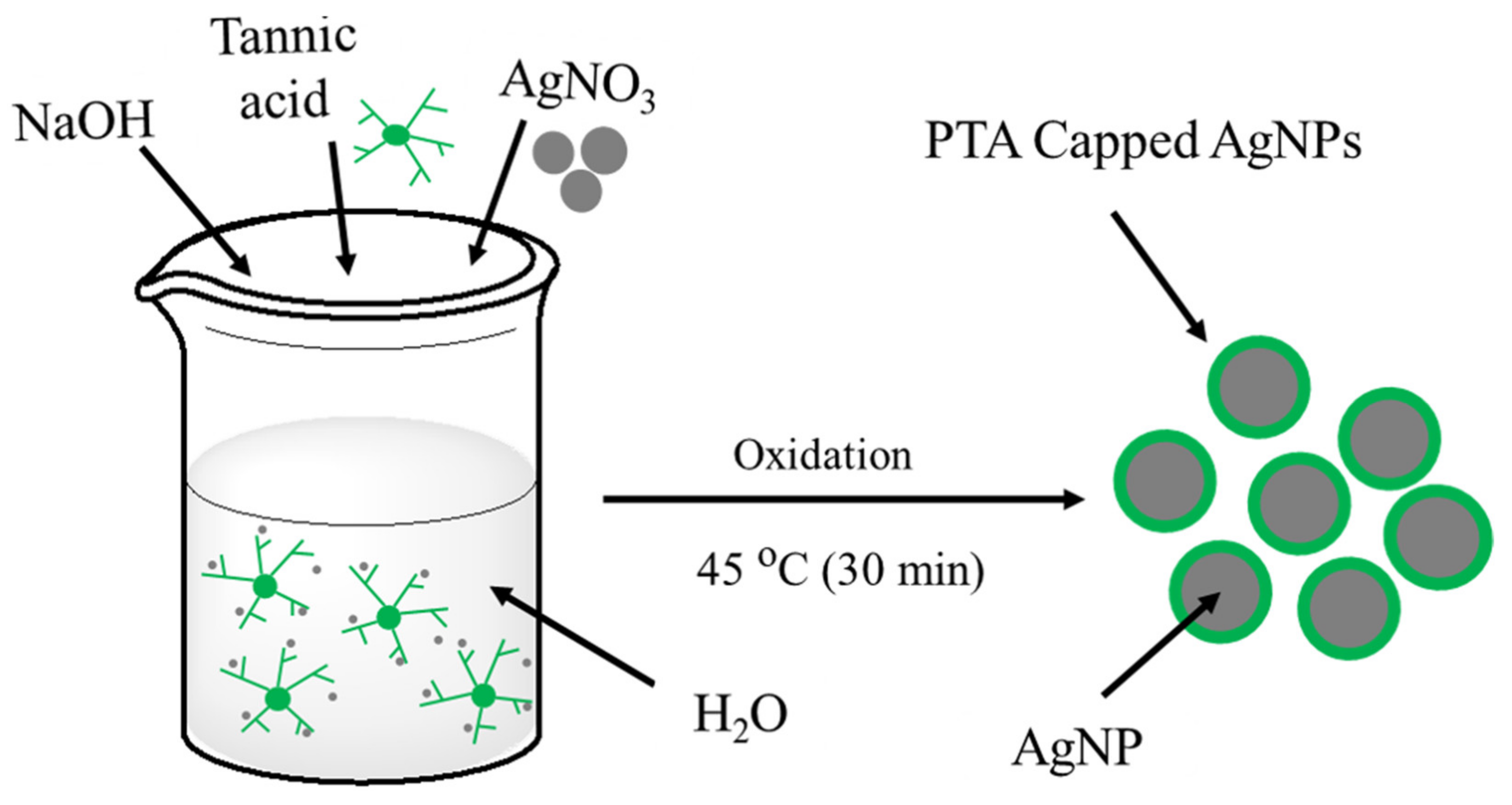 Nanomaterials 11 01007 g001