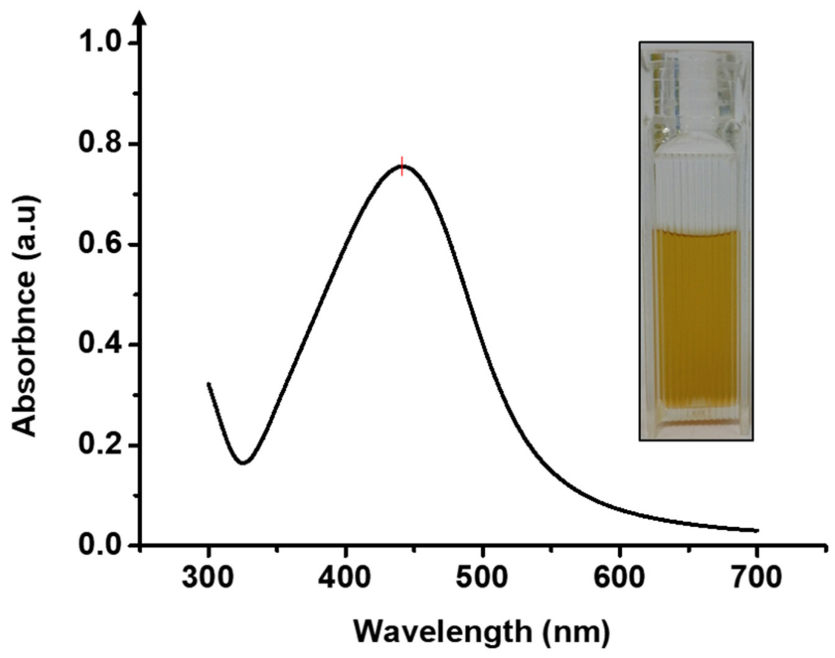 Nanomaterials 11 01007 g002