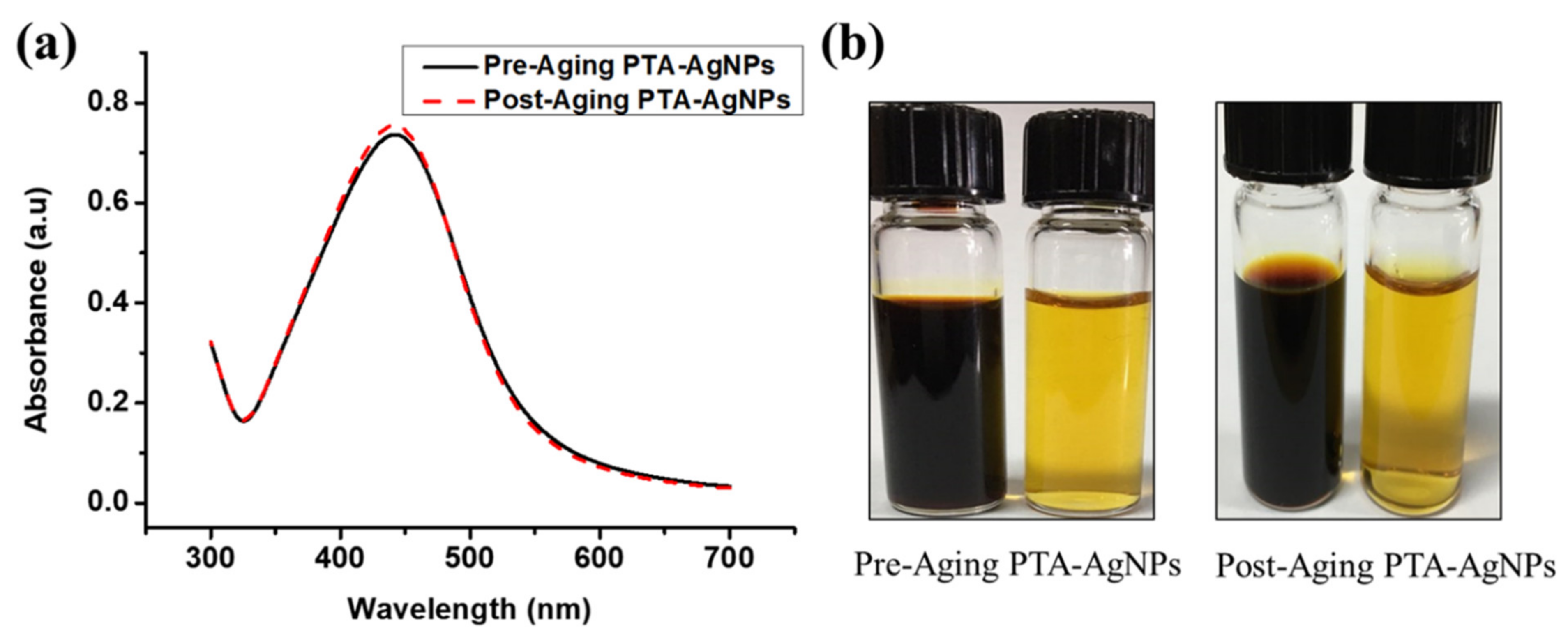 Nanomaterials 11 01007 g006