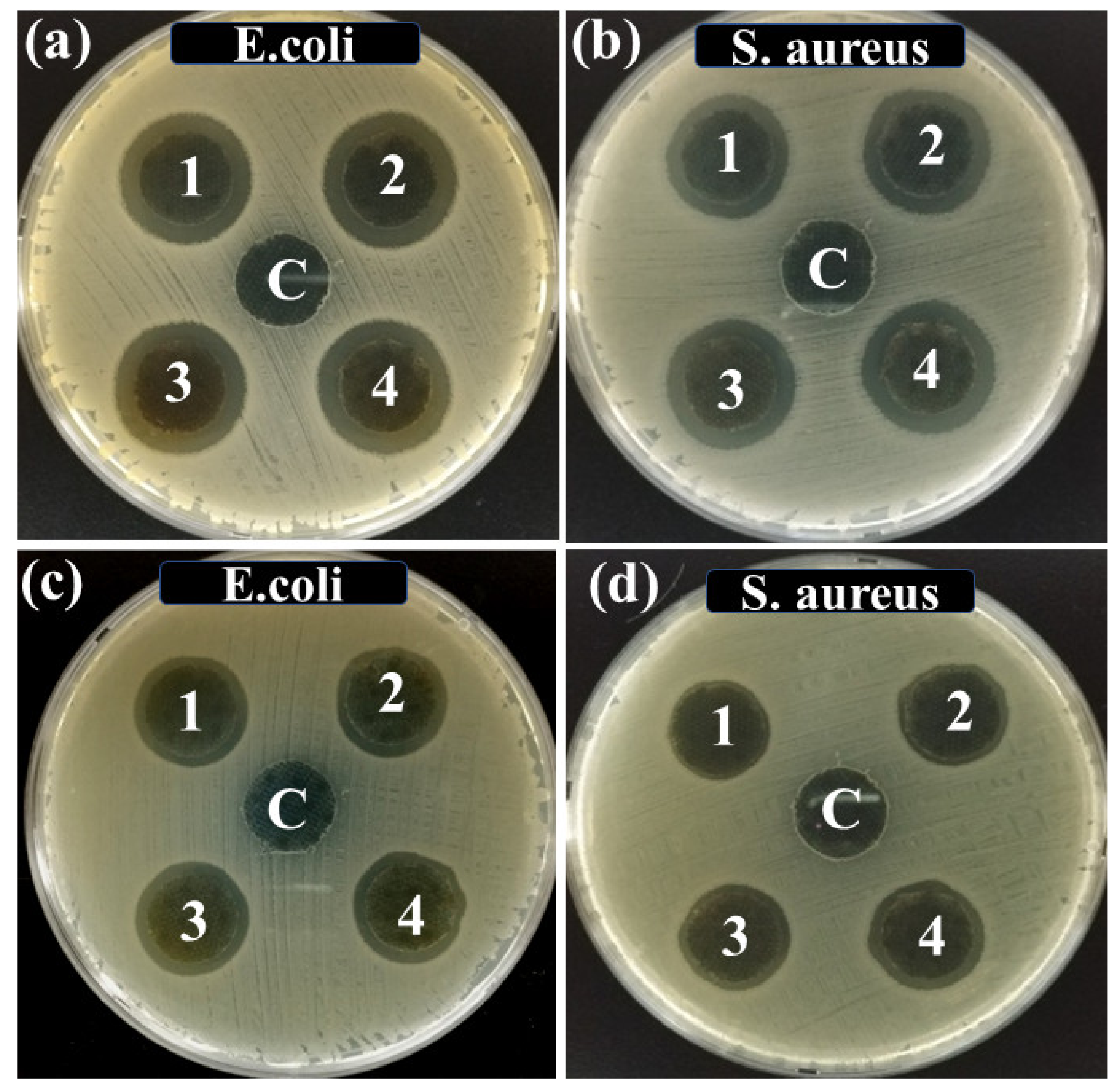 Nanomaterials 11 01007 g008