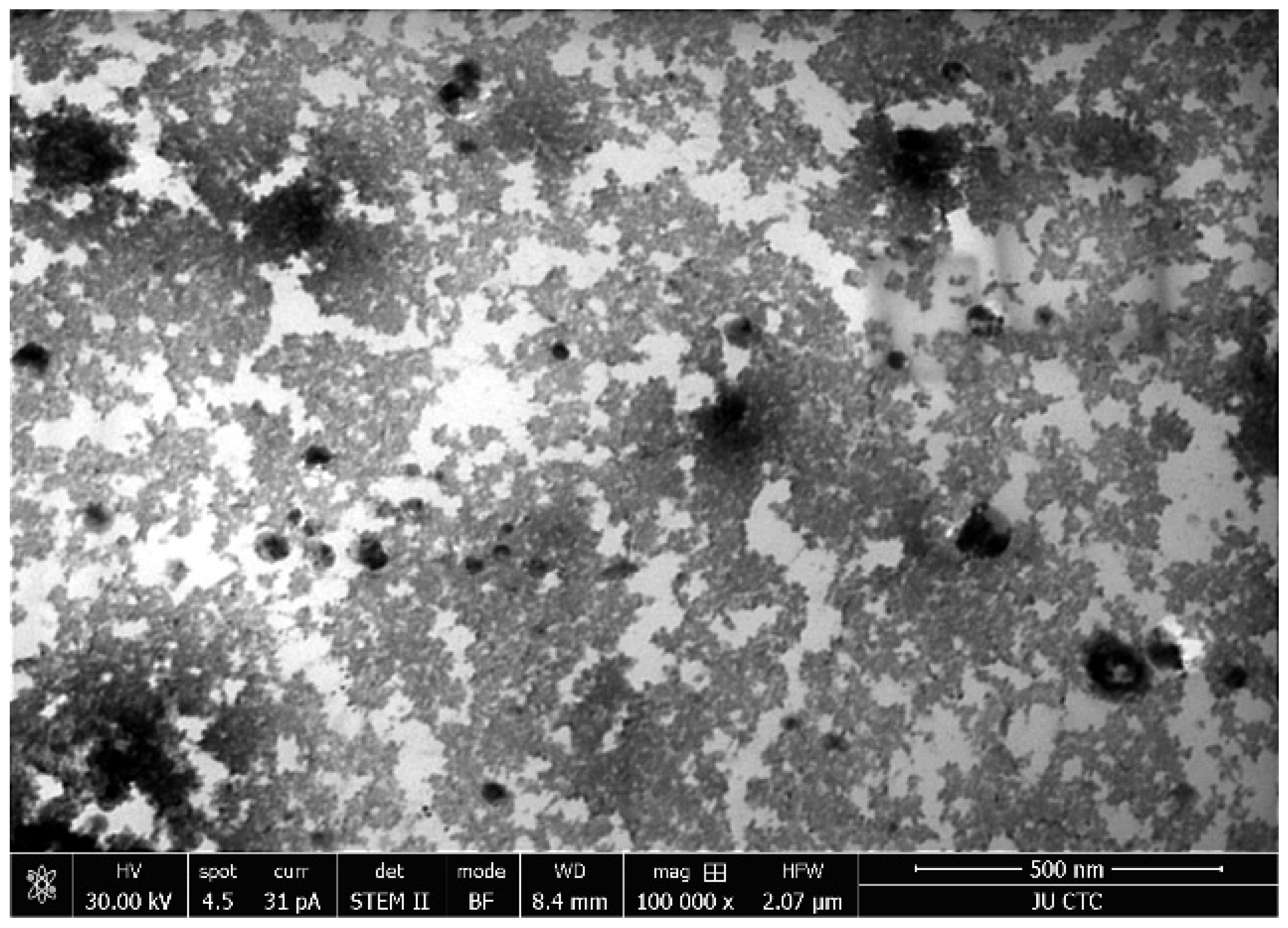Nanomaterials 11 01010 g003