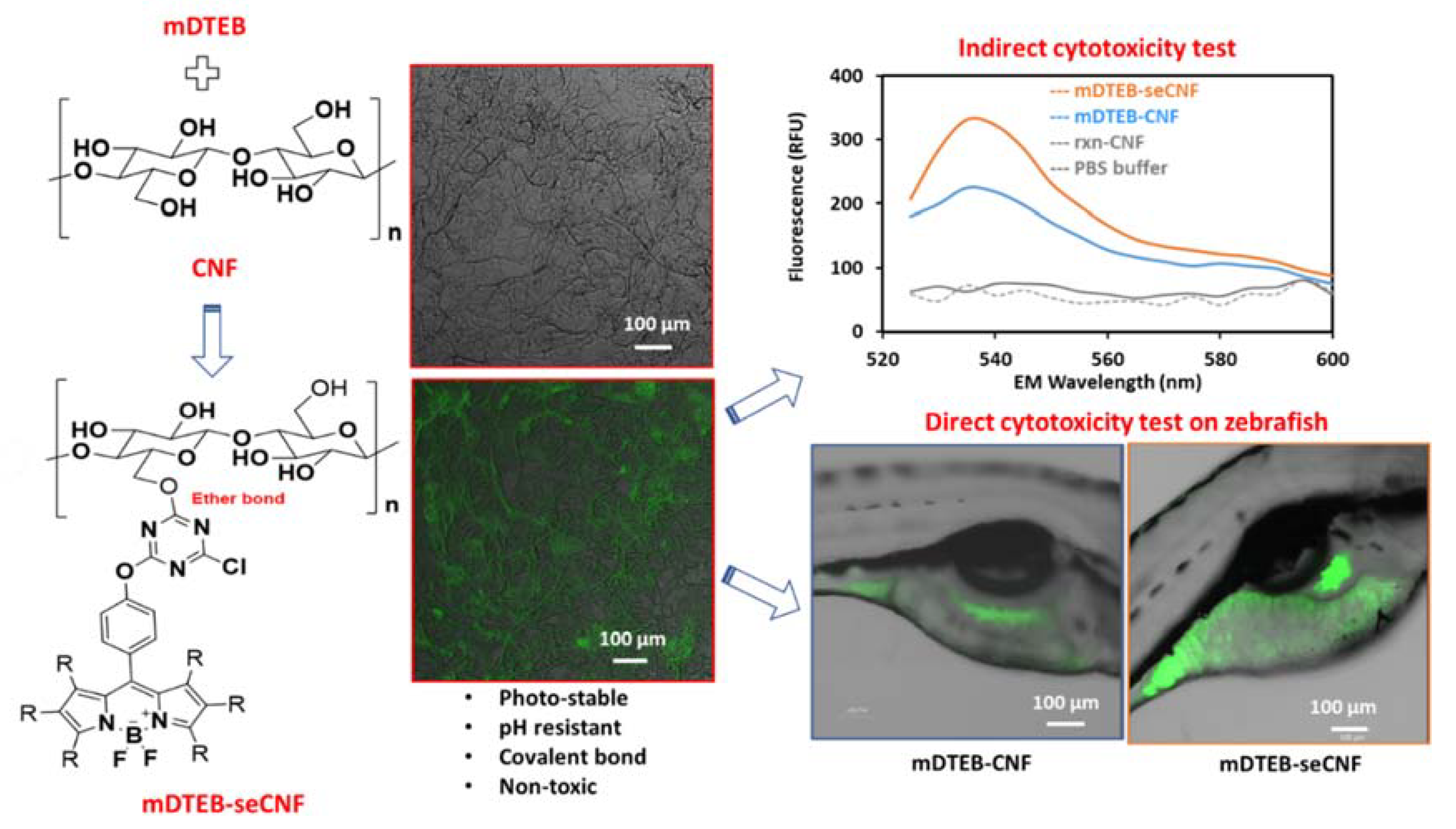 Nanomaterials 11 01015 g001