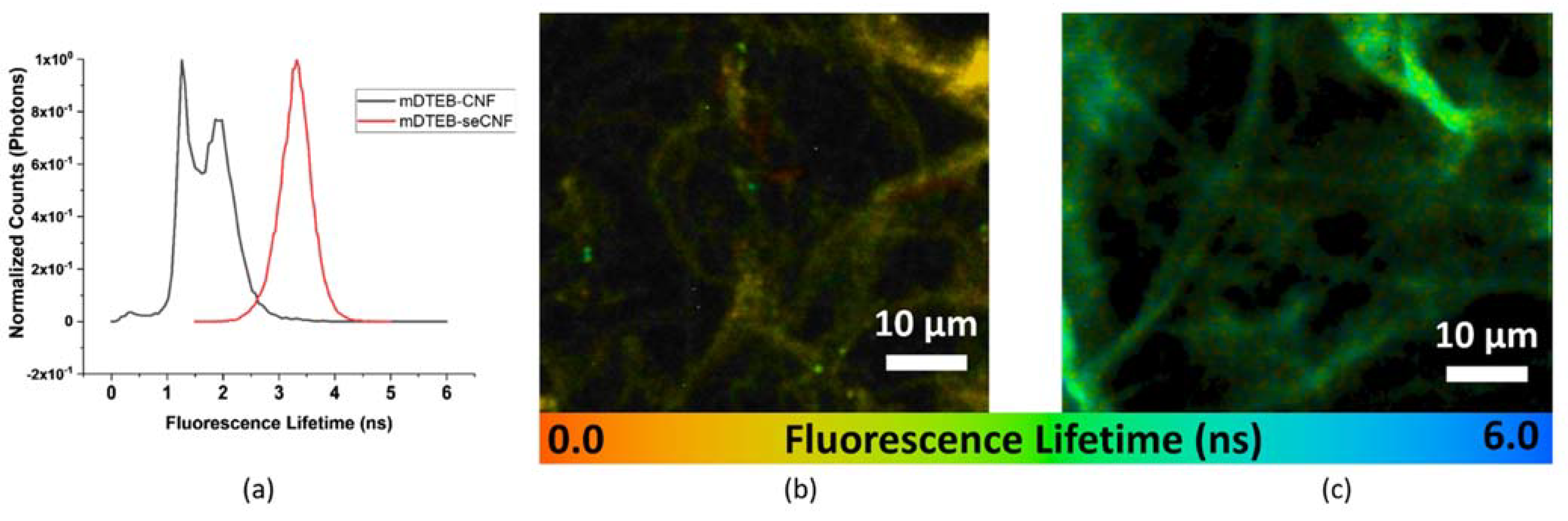 Nanomaterials 11 01015 g005