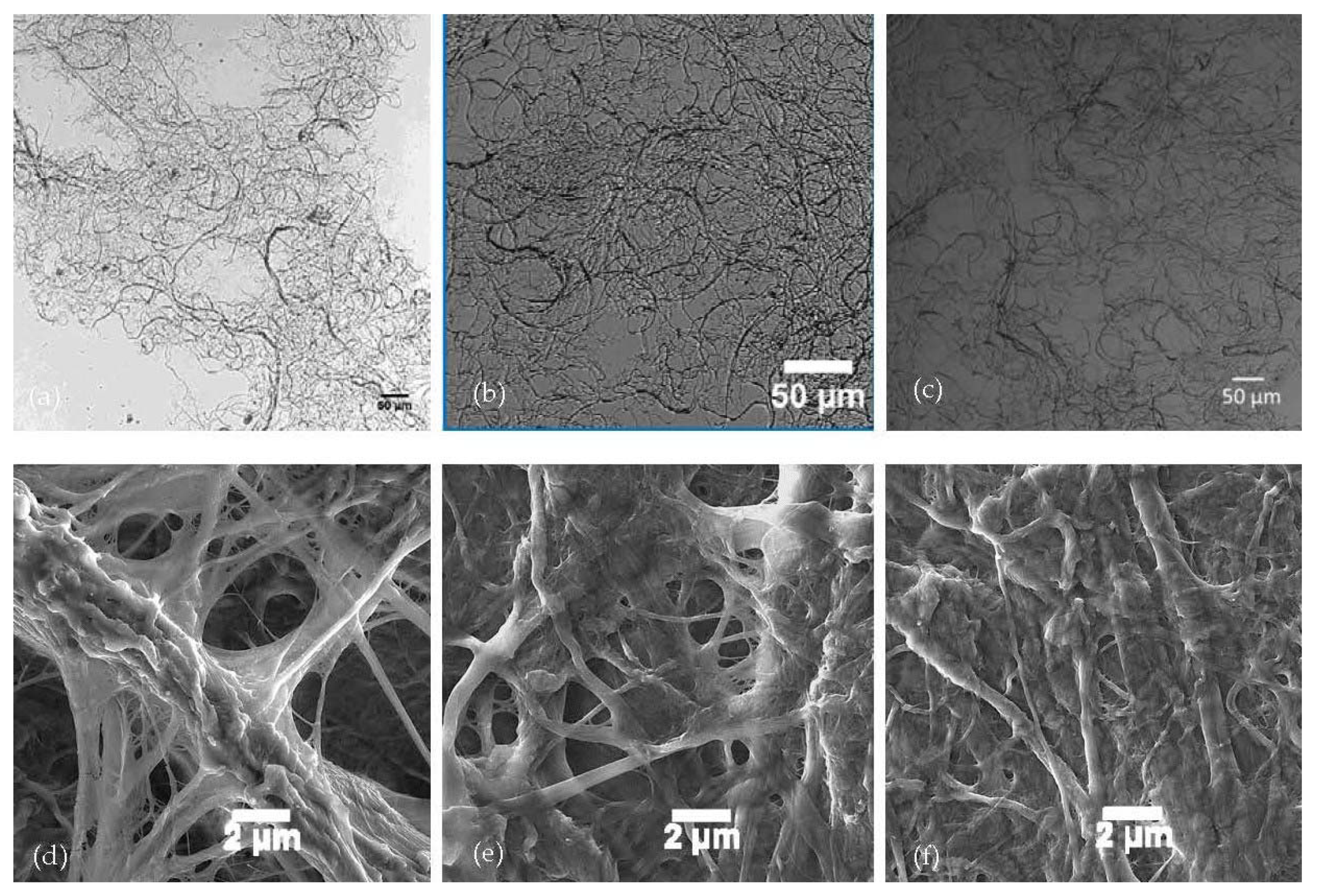 Nanomaterials 11 01015 g008
