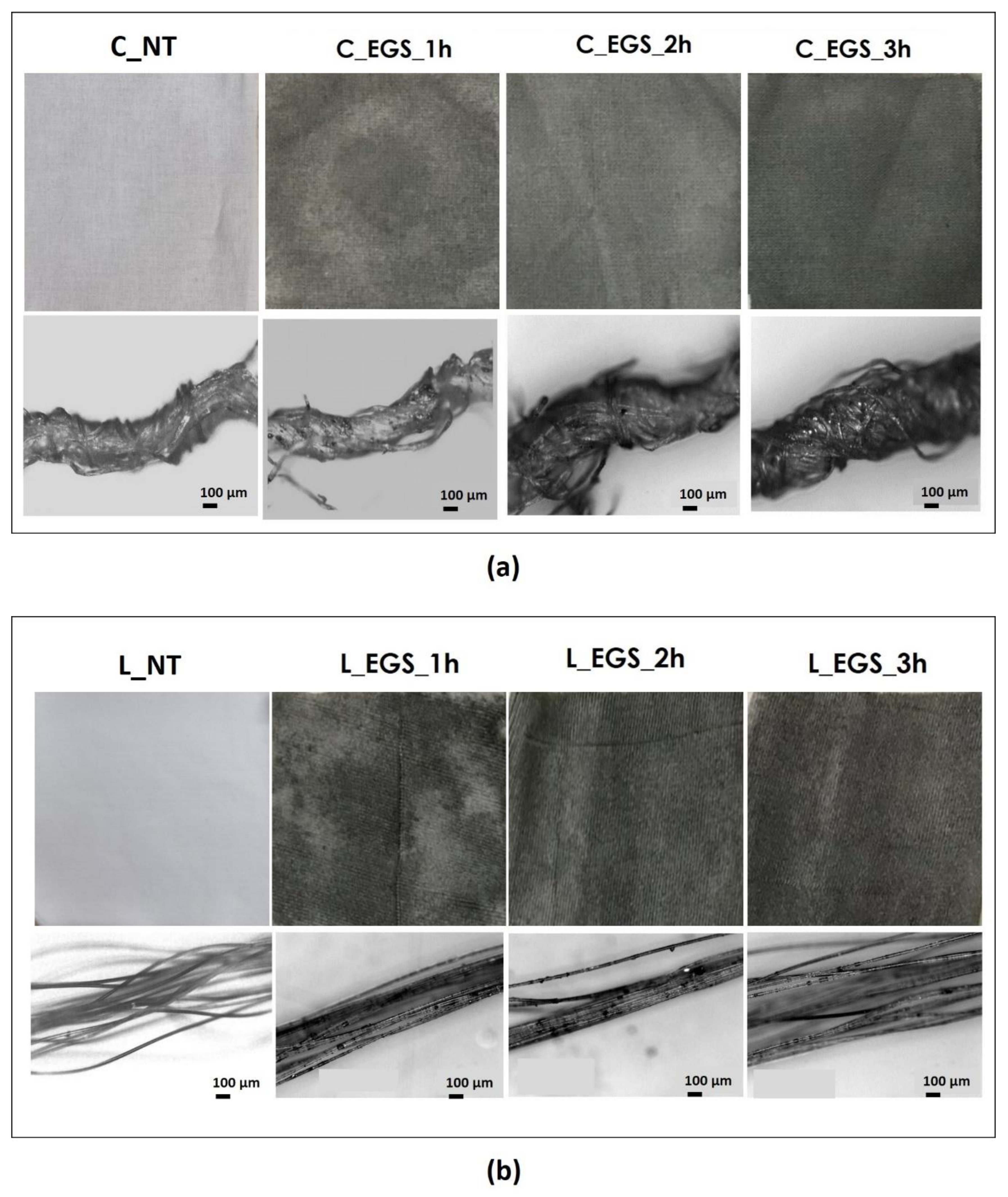 Nanomaterials 11 01018 g002