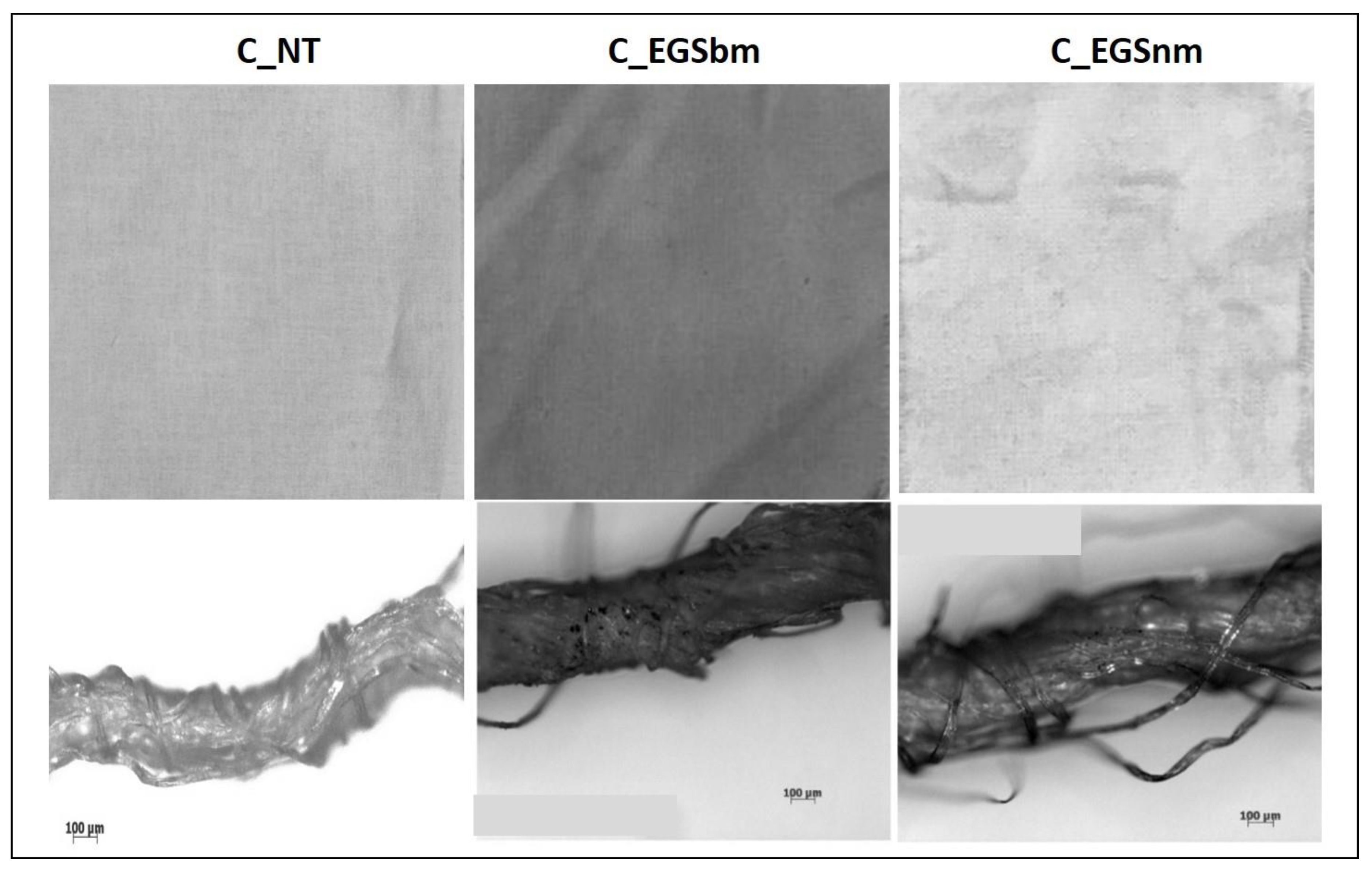 Nanomaterials 11 01018 g003