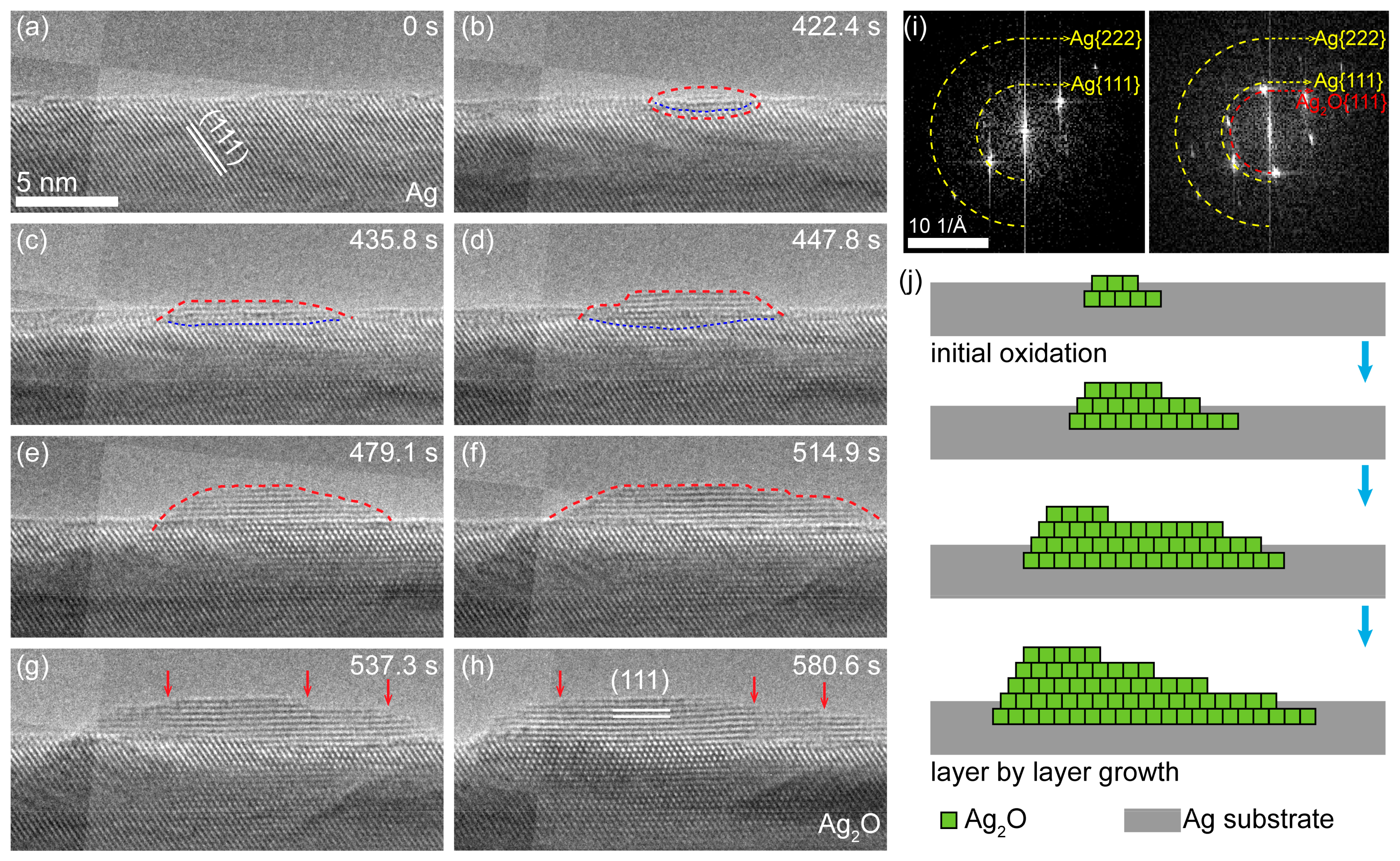 Nanomaterials 11 01021 g002 Nanomaterials 11 01021 g002