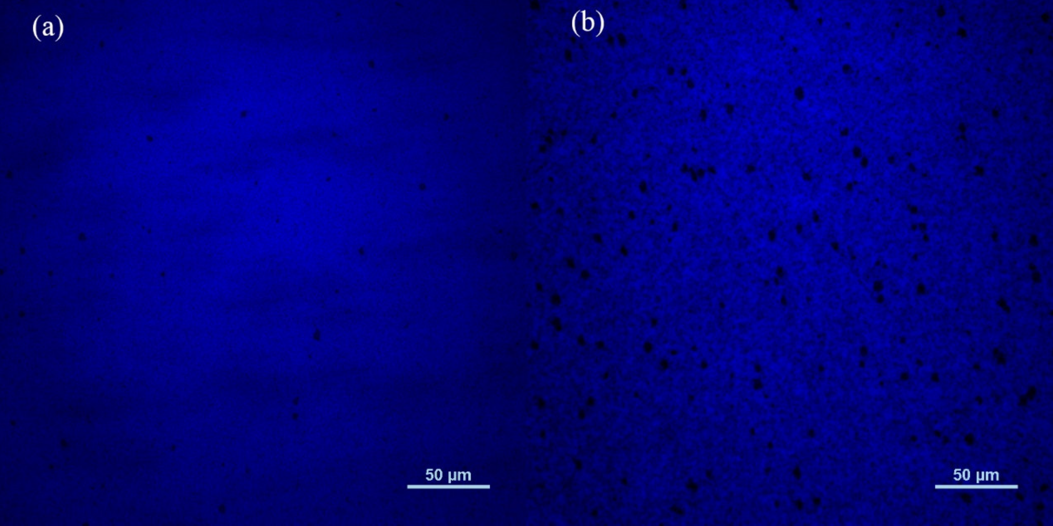Nanomaterials 11 01023 g007 Nanomaterials 11 01023 g007