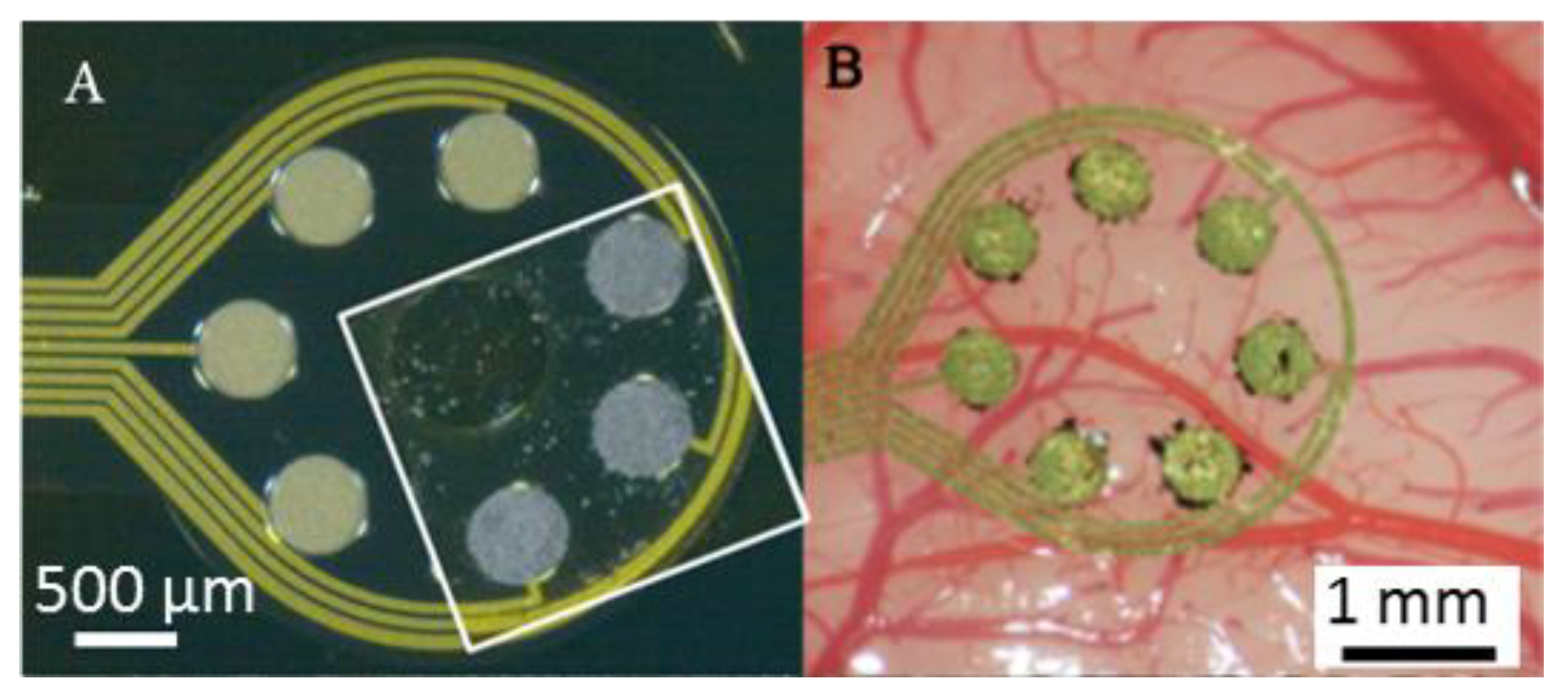 Nanomaterials 11 01029 g001