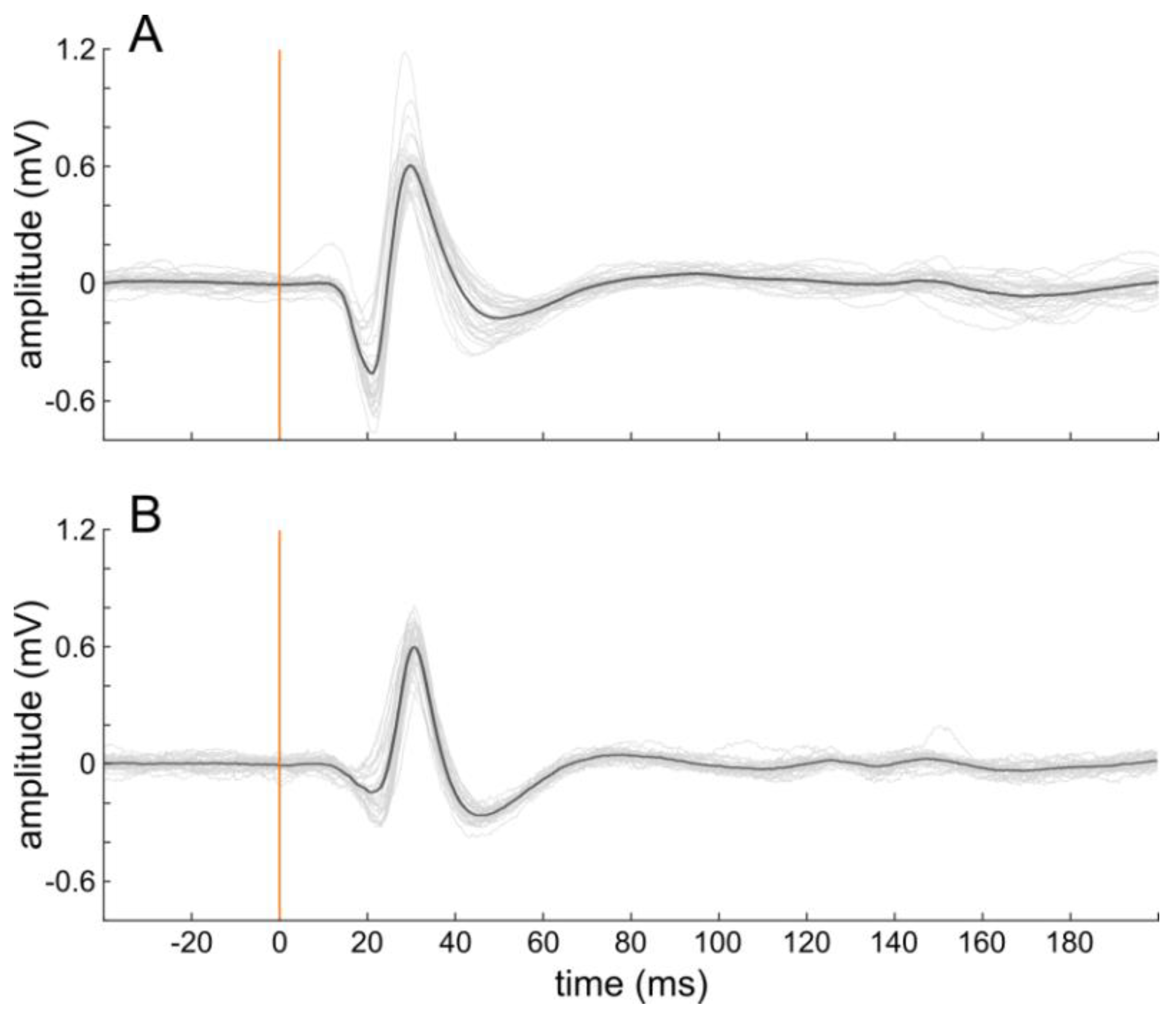 Nanomaterials 11 01029 g002