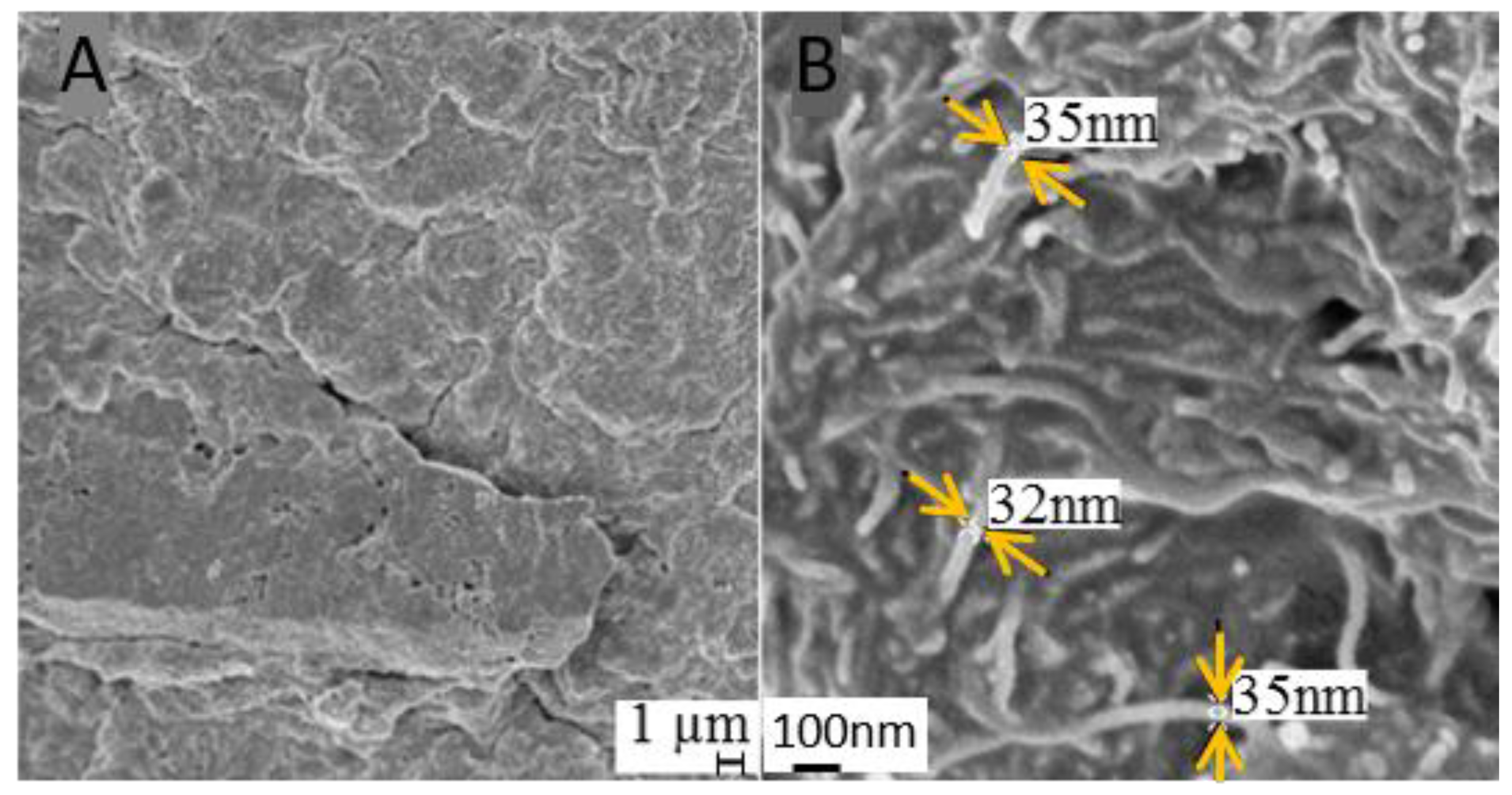 Nanomaterials 11 01029 g004