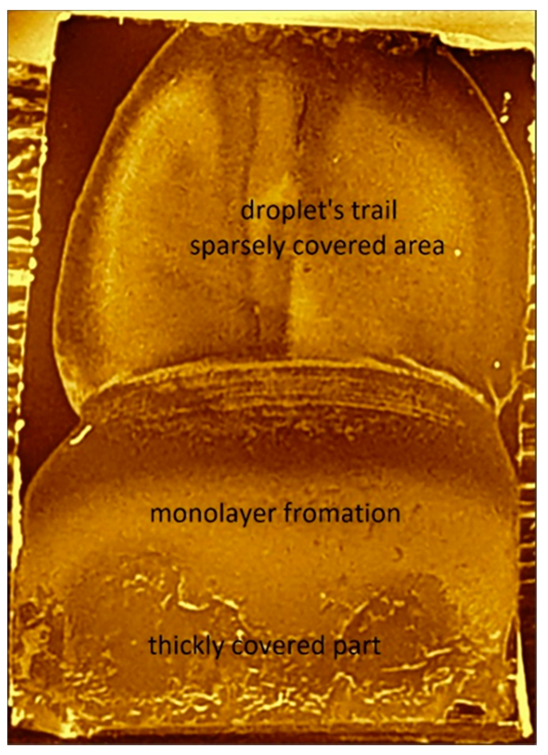 Nanomaterials 11 01030 g005