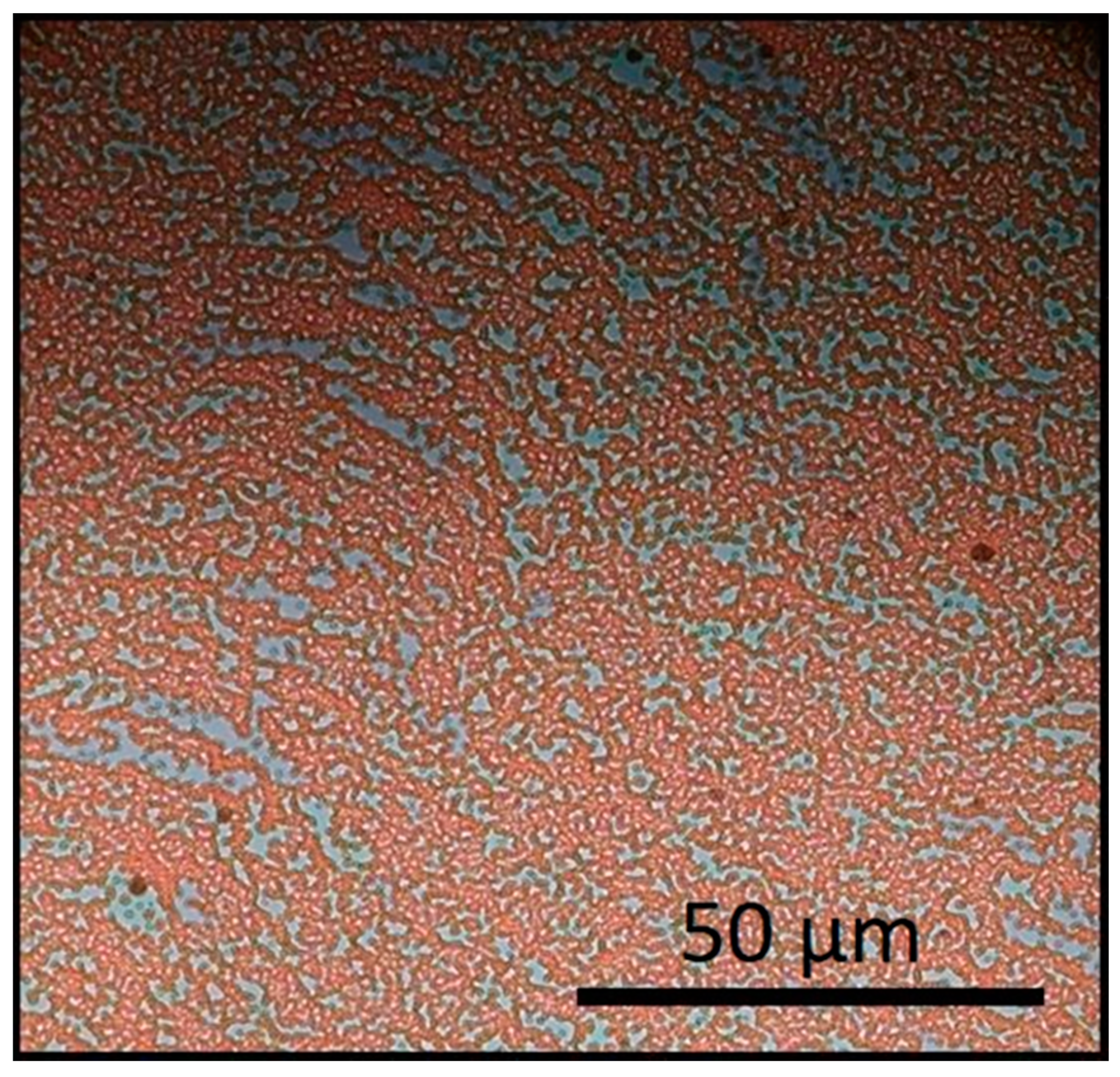 Nanomaterials 11 01030 g006