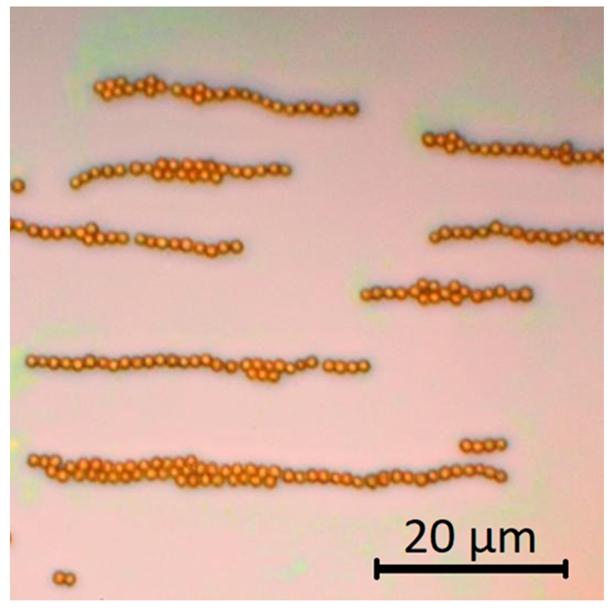 Nanomaterials 11 01030 g007