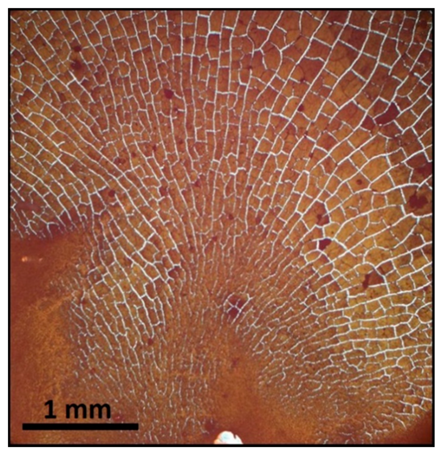 Nanomaterials 11 01030 g009