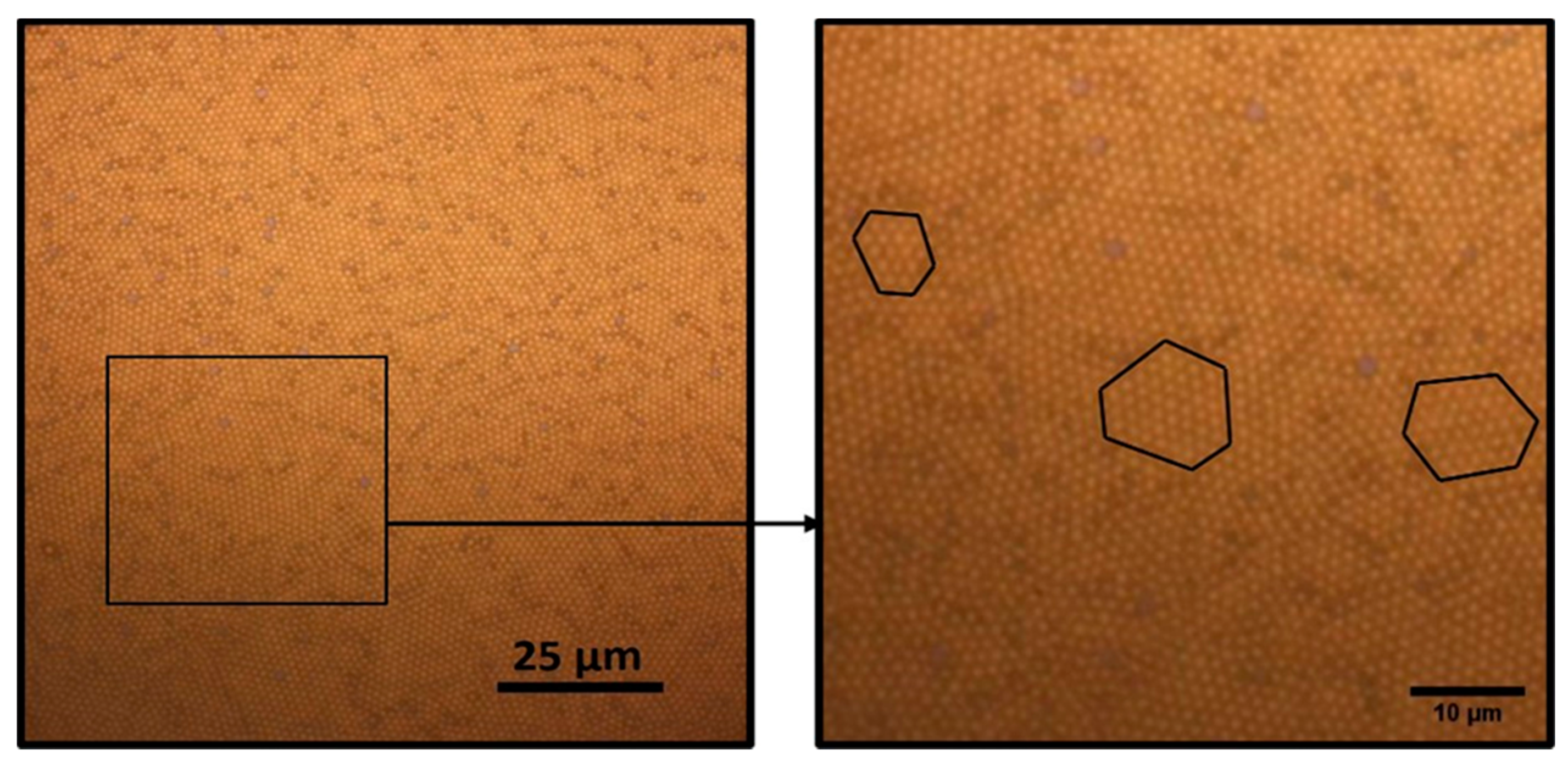 Nanomaterials 11 01030 g011