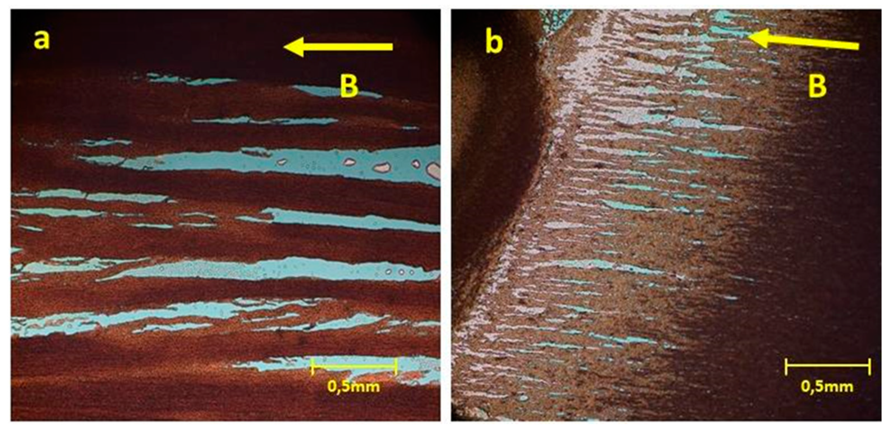 Nanomaterials 11 01030 g012