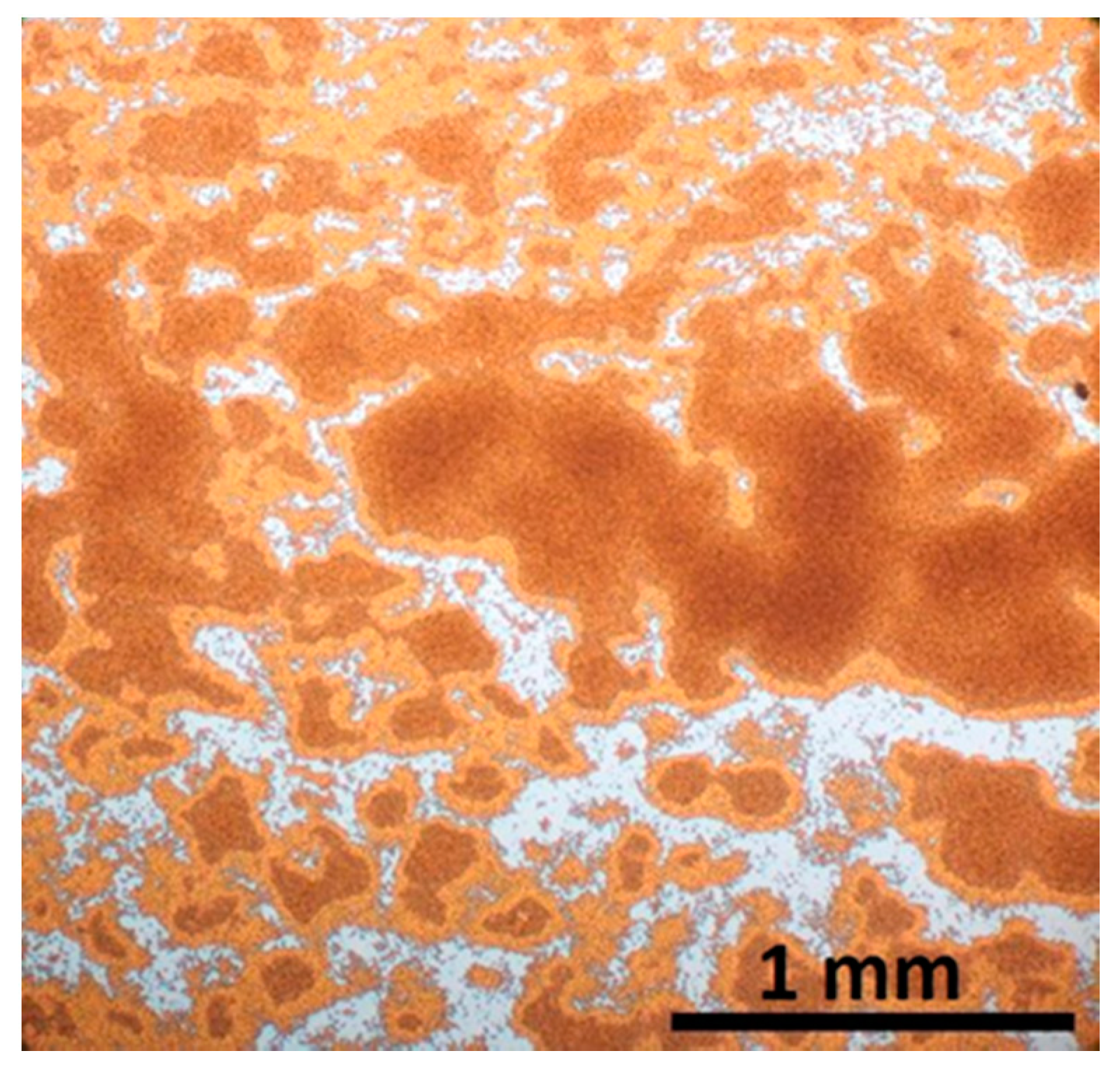 Nanomaterials 11 01030 g013