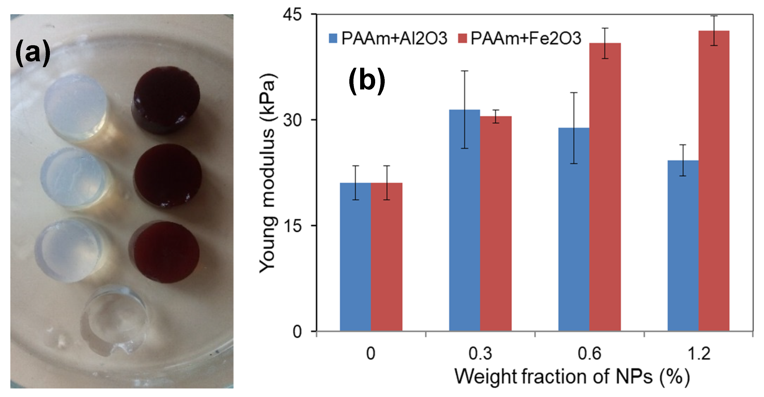 Nanomaterials 11 01041 g005 Nanomaterials 11 01041 g005