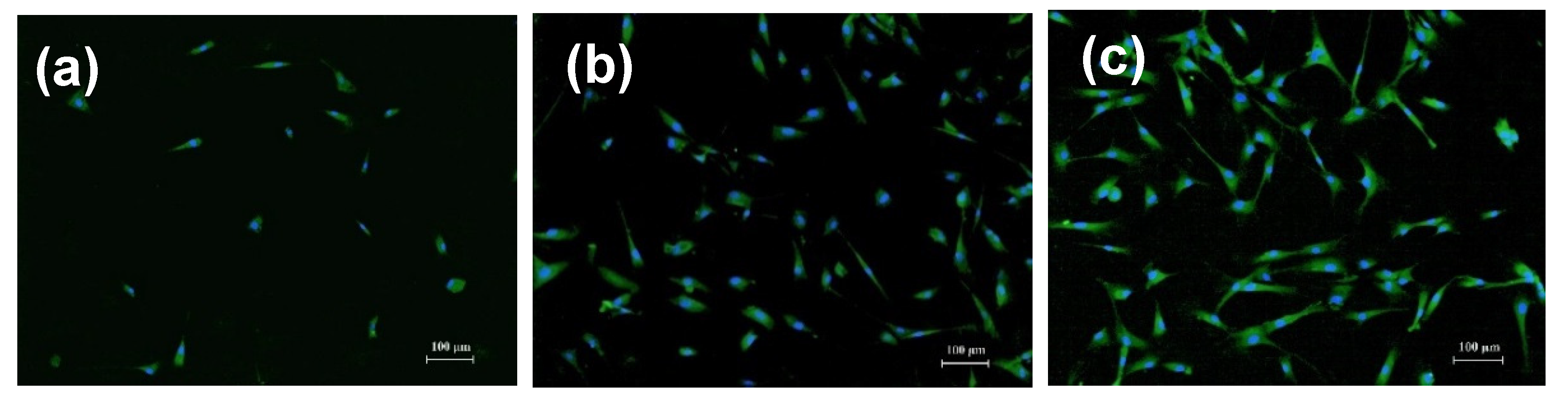 Nanomaterials 11 01041 g007 Nanomaterials 11 01041 g007