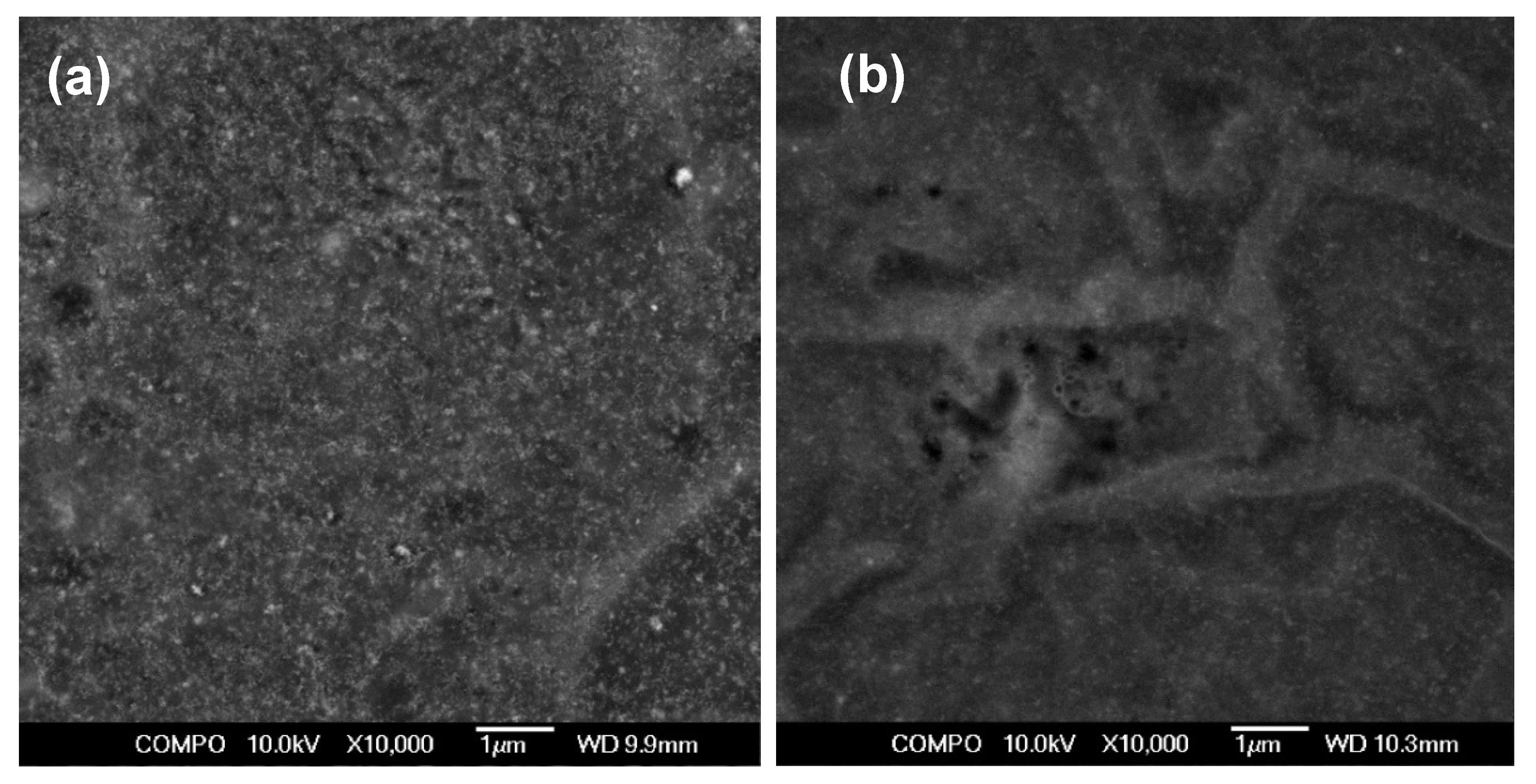 Nanomaterials 11 01041 g008 Nanomaterials 11 01041 g008