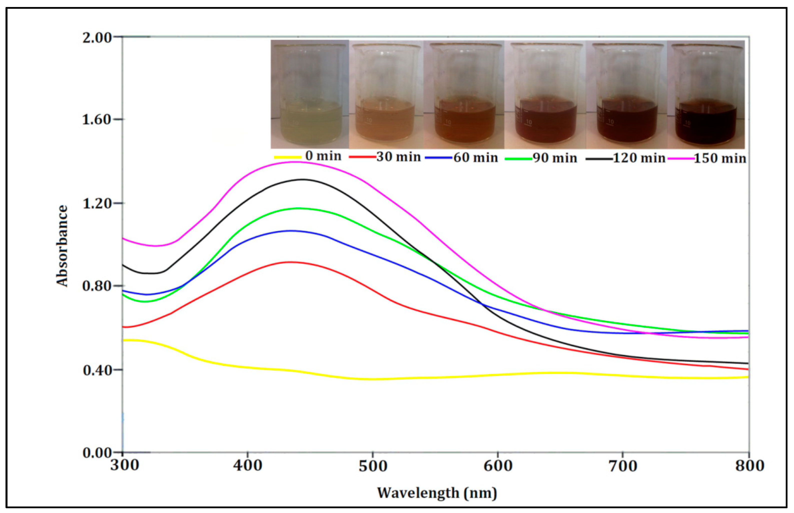 Nanomaterials 11 01045 g001