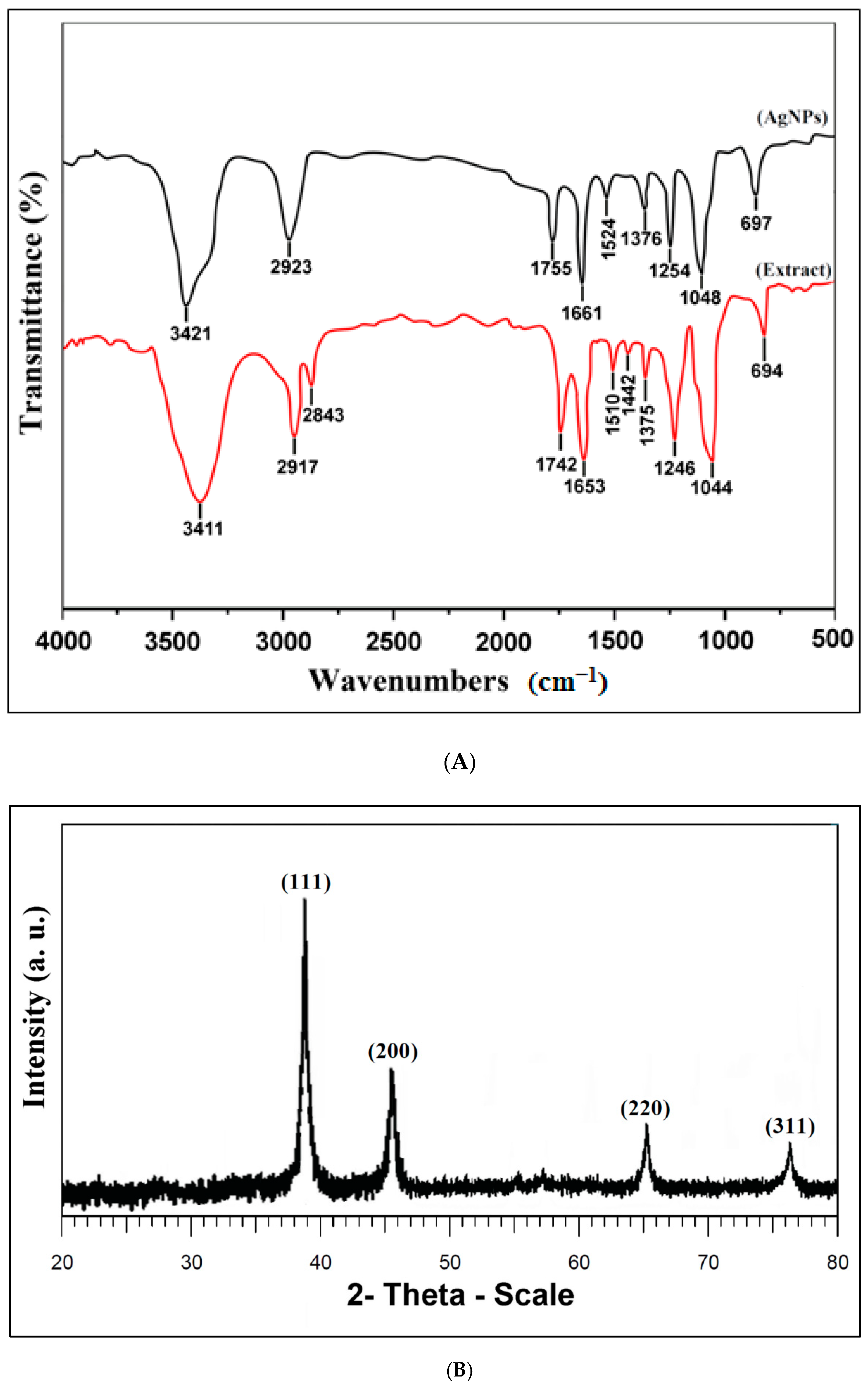 Nanomaterials 11 01045 g002