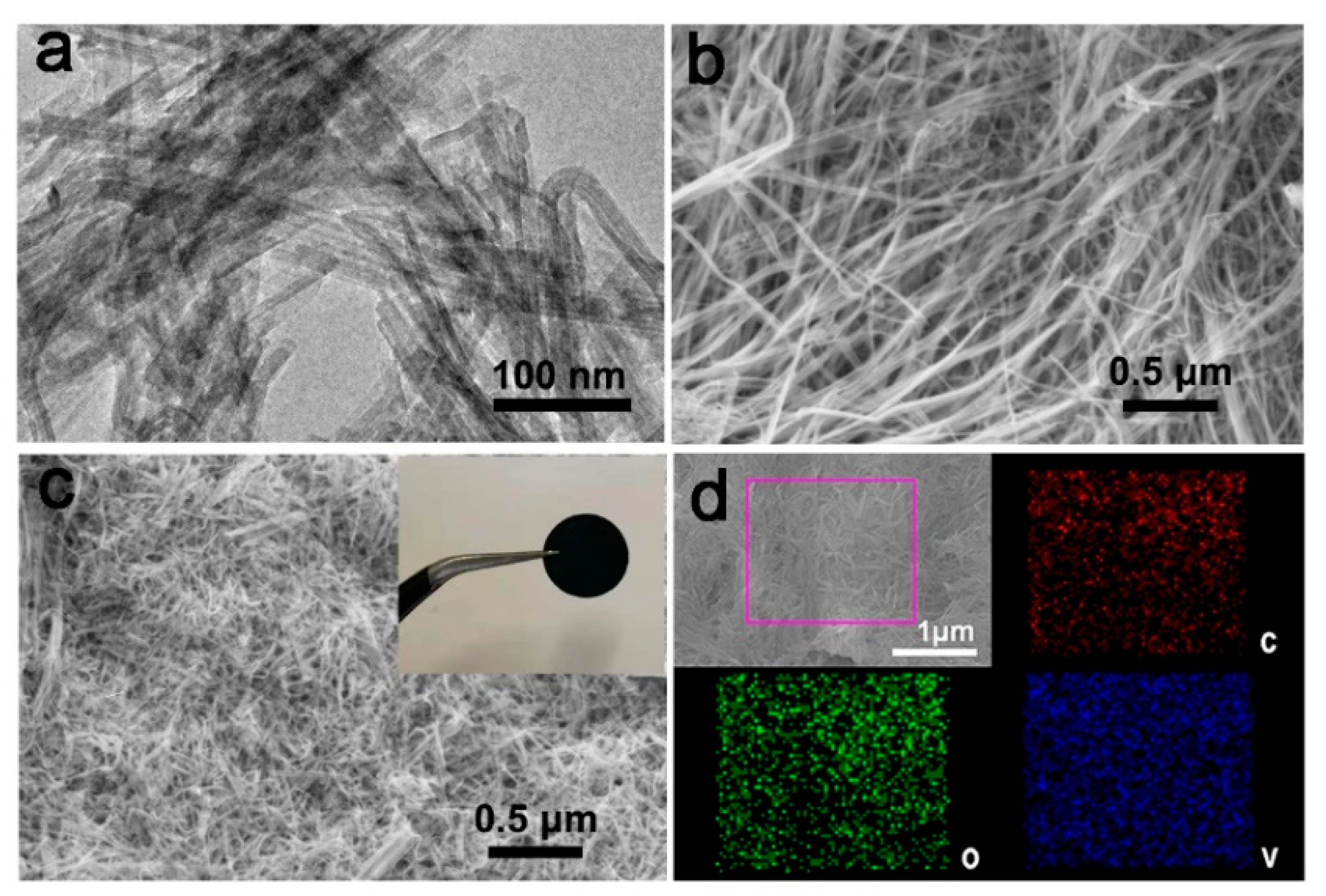 Nanomaterials 11 01054 g001