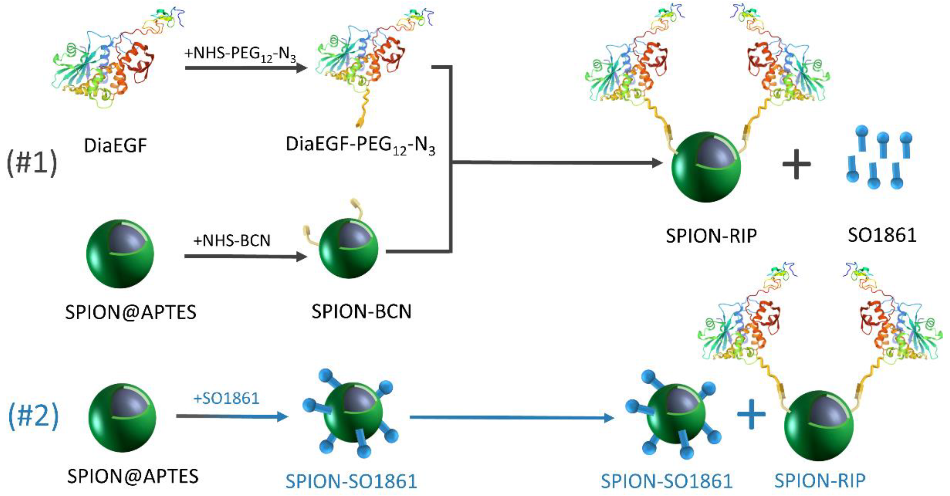 Nanomaterials 11 01057 g001