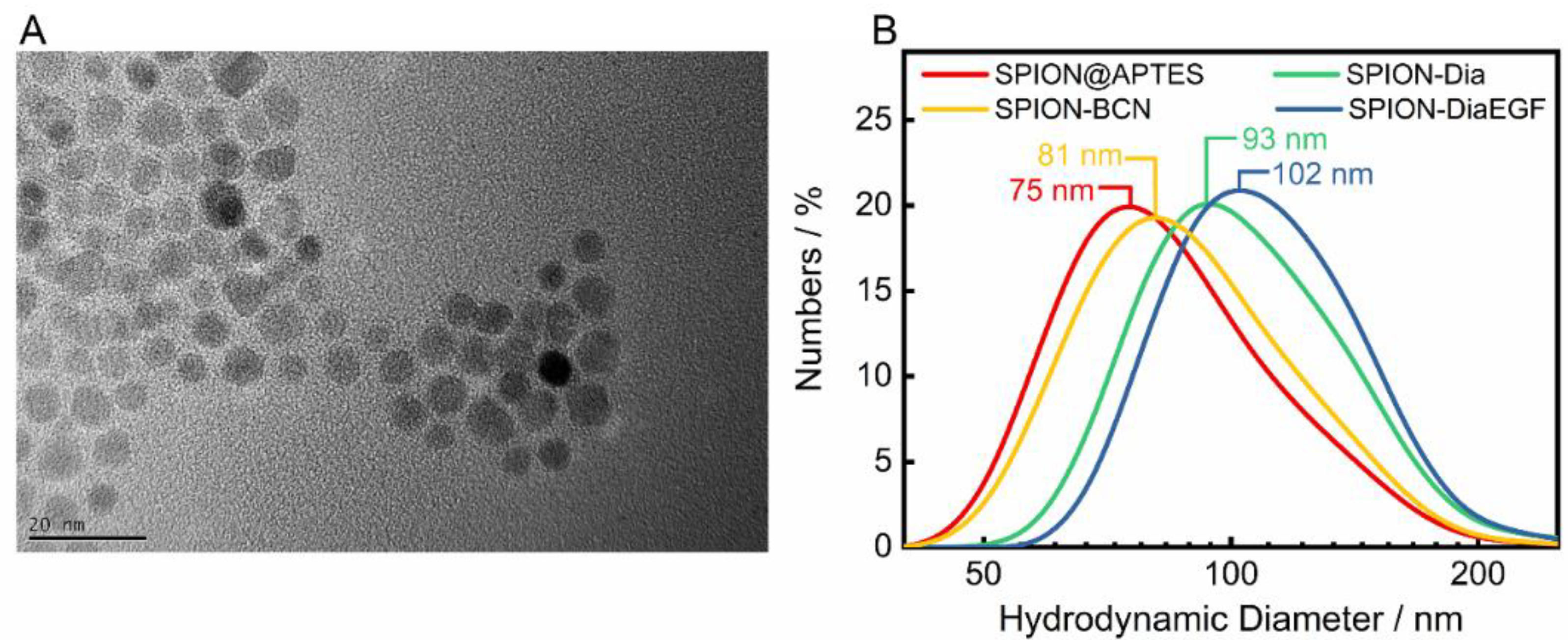 Nanomaterials 11 01057 g003